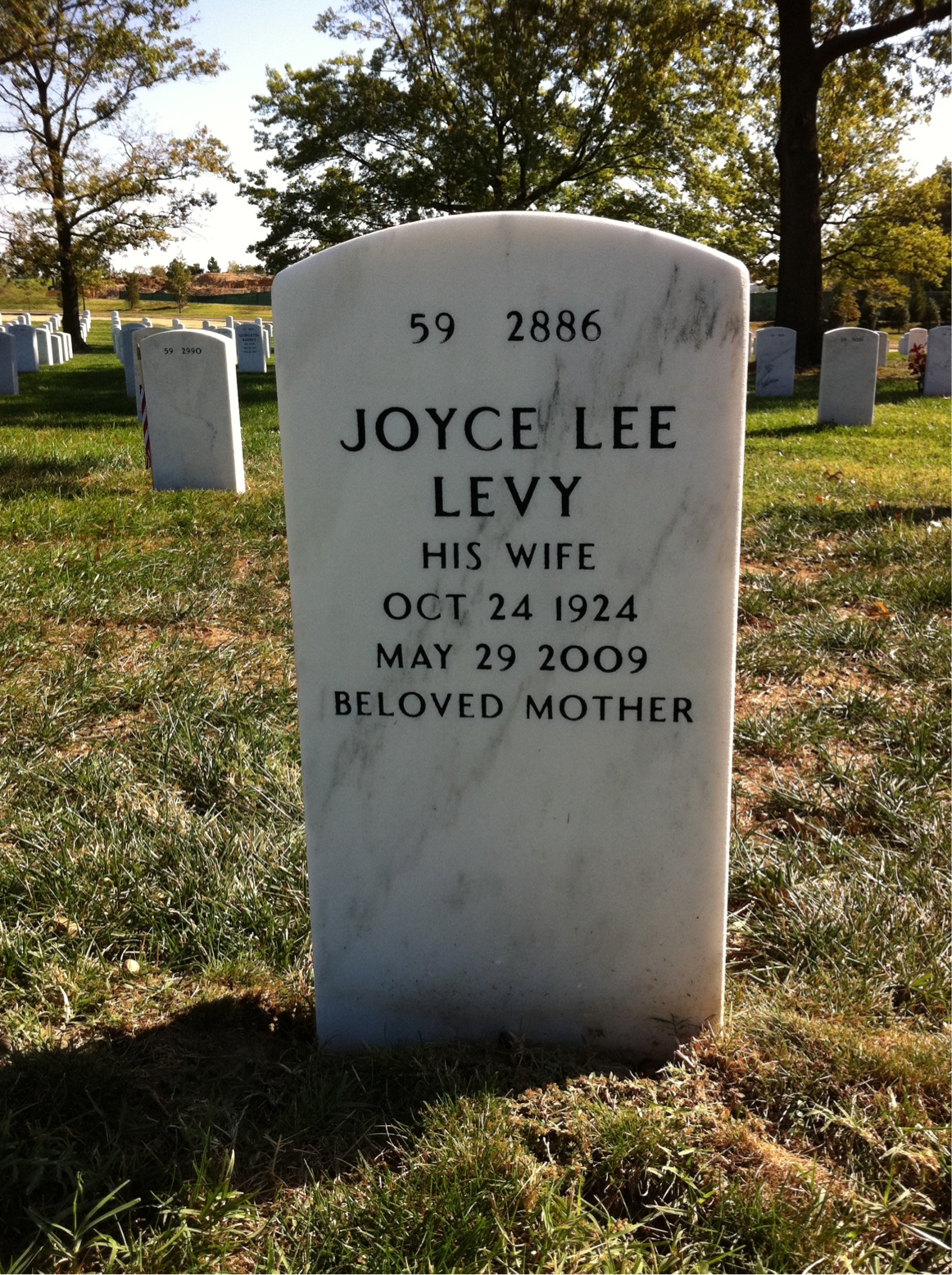 Back of headstone — Anchel Goldberg