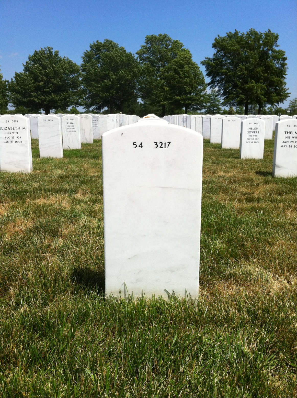 Back of headstone — Fillmore Cannon