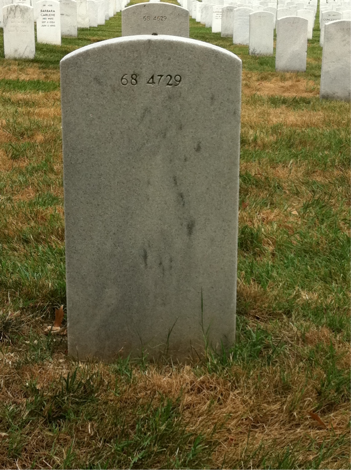 Back of headstone — William Gerald Dark