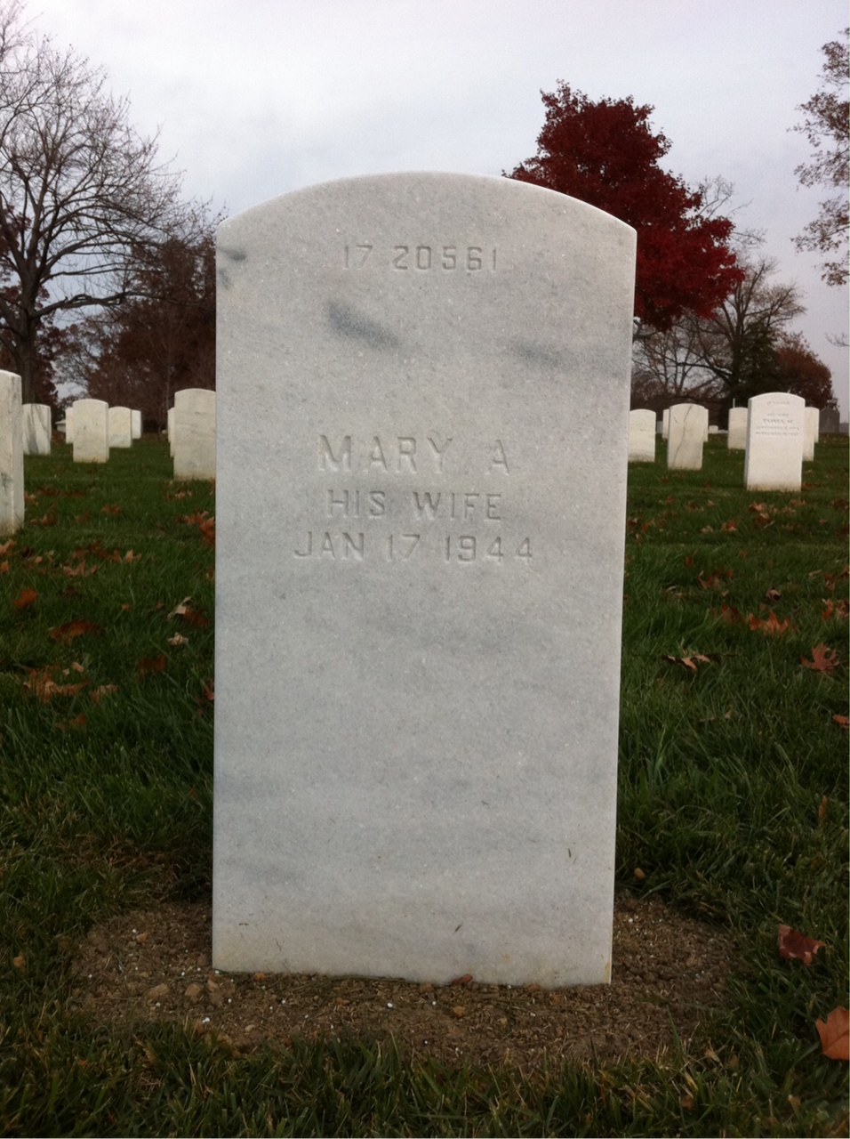 Back of headstone — Mary Alexander
