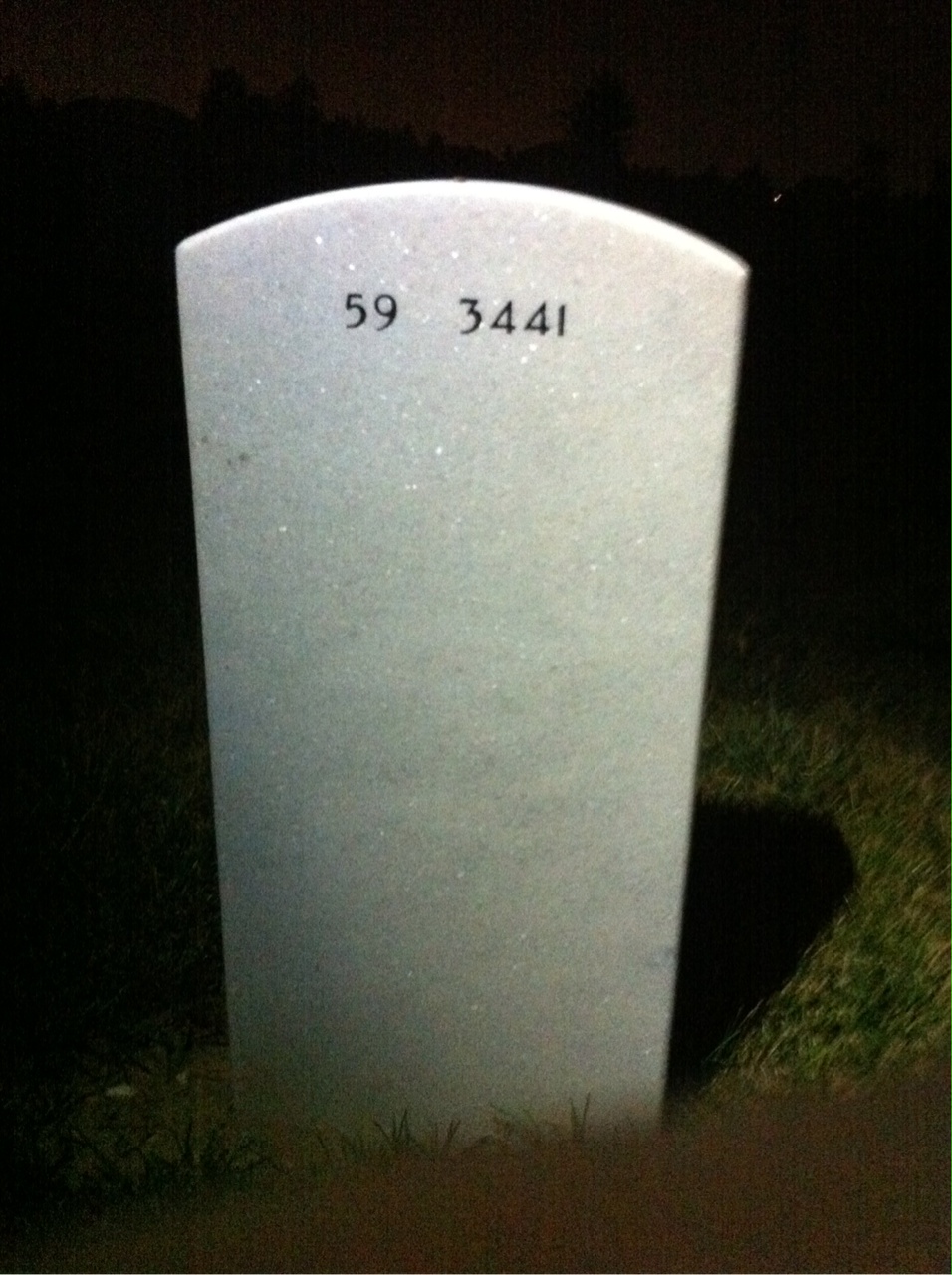 Back of headstone — William Mcnally