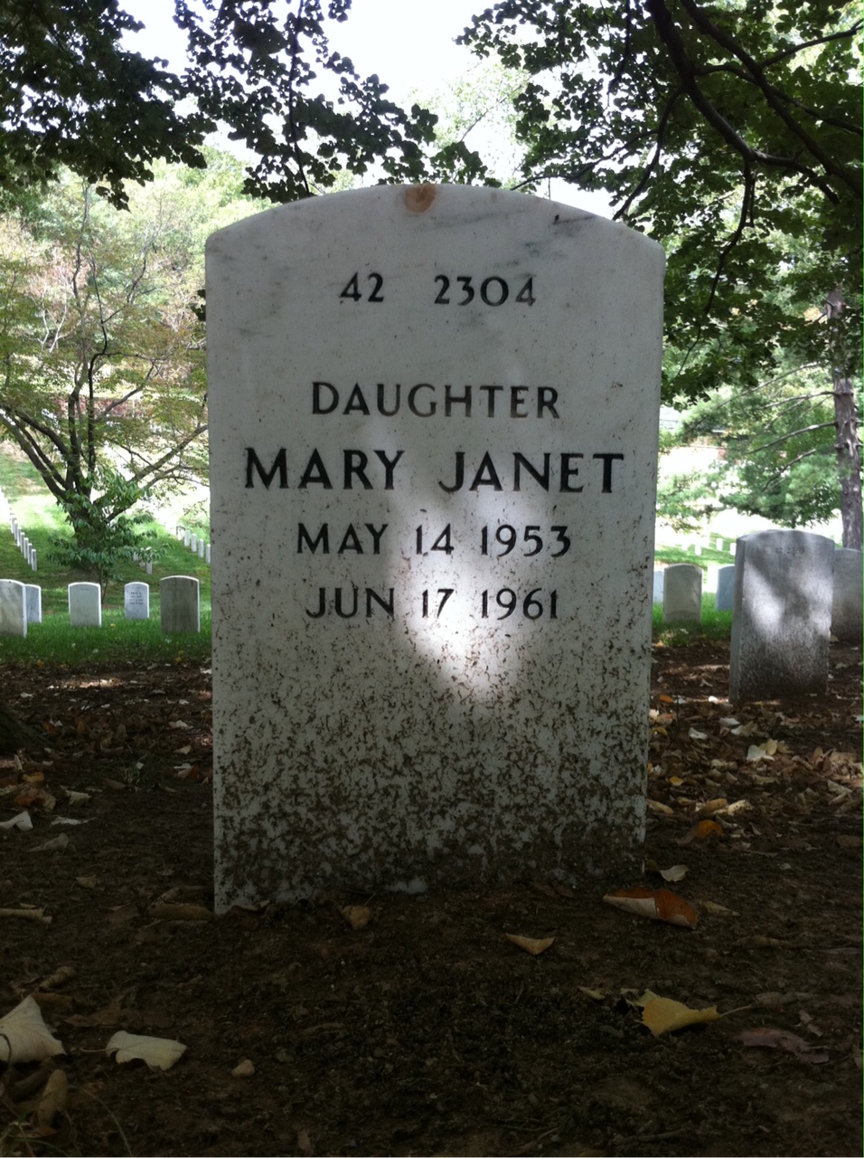 Back of headstone — Janetta Mcnamee