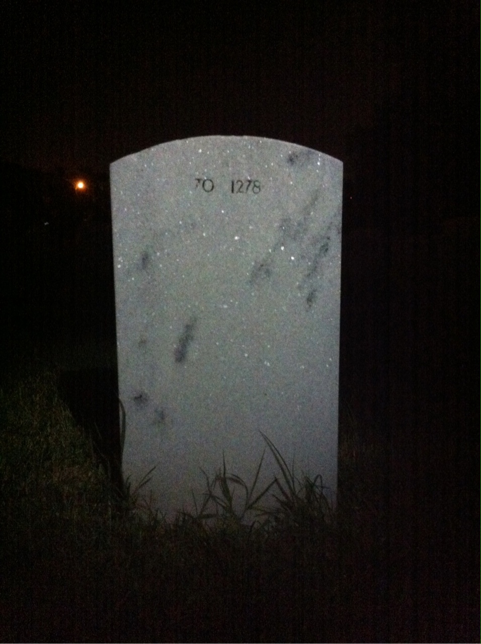 Back of headstone — Fredora Murphy