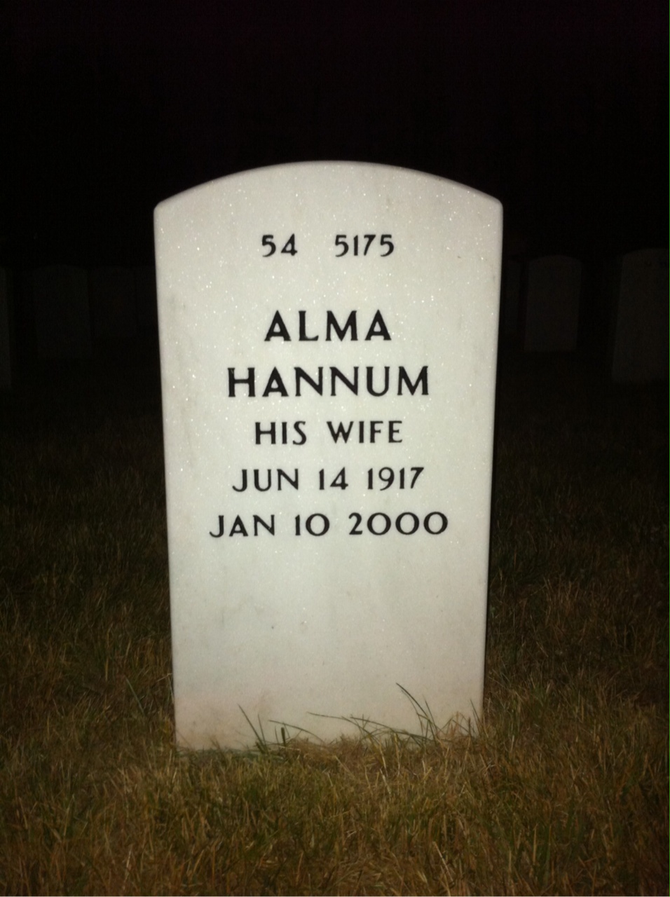 Back of headstone — Albert Schick