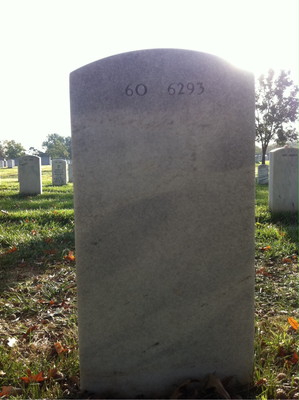 Back of headstone — Albert Northrop
