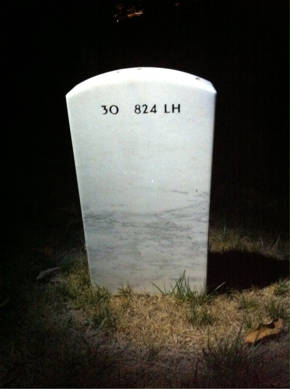 Back of headstone — Franklin Wilson