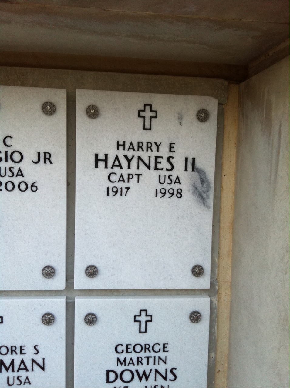 Harry Haynes