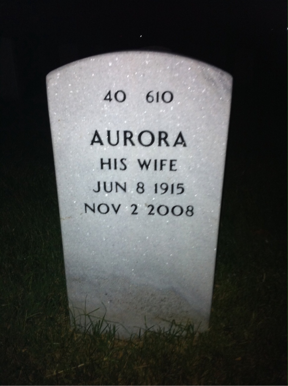 Back of headstone — Charles Mcginley