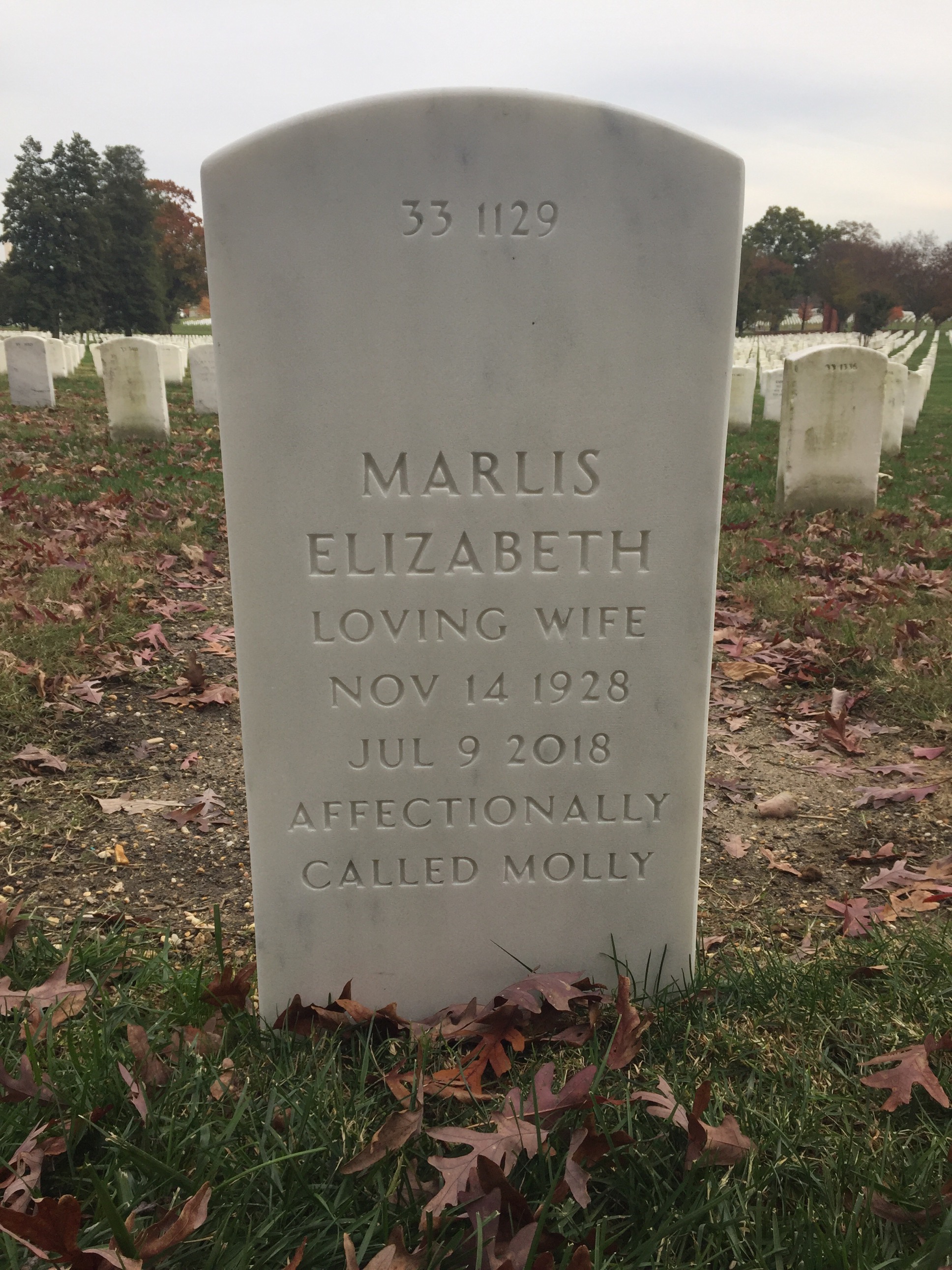 Back of headstone — Albert Gieser