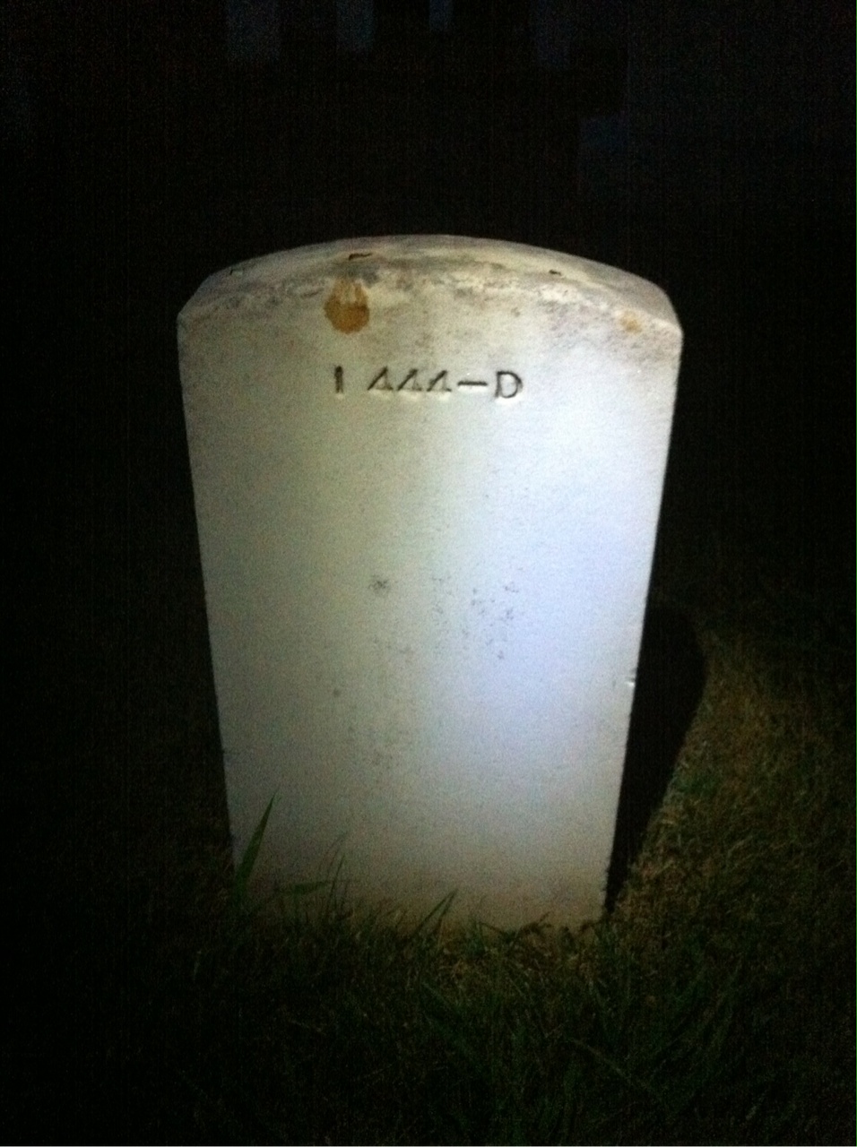 Back of headstone — Sue Mills