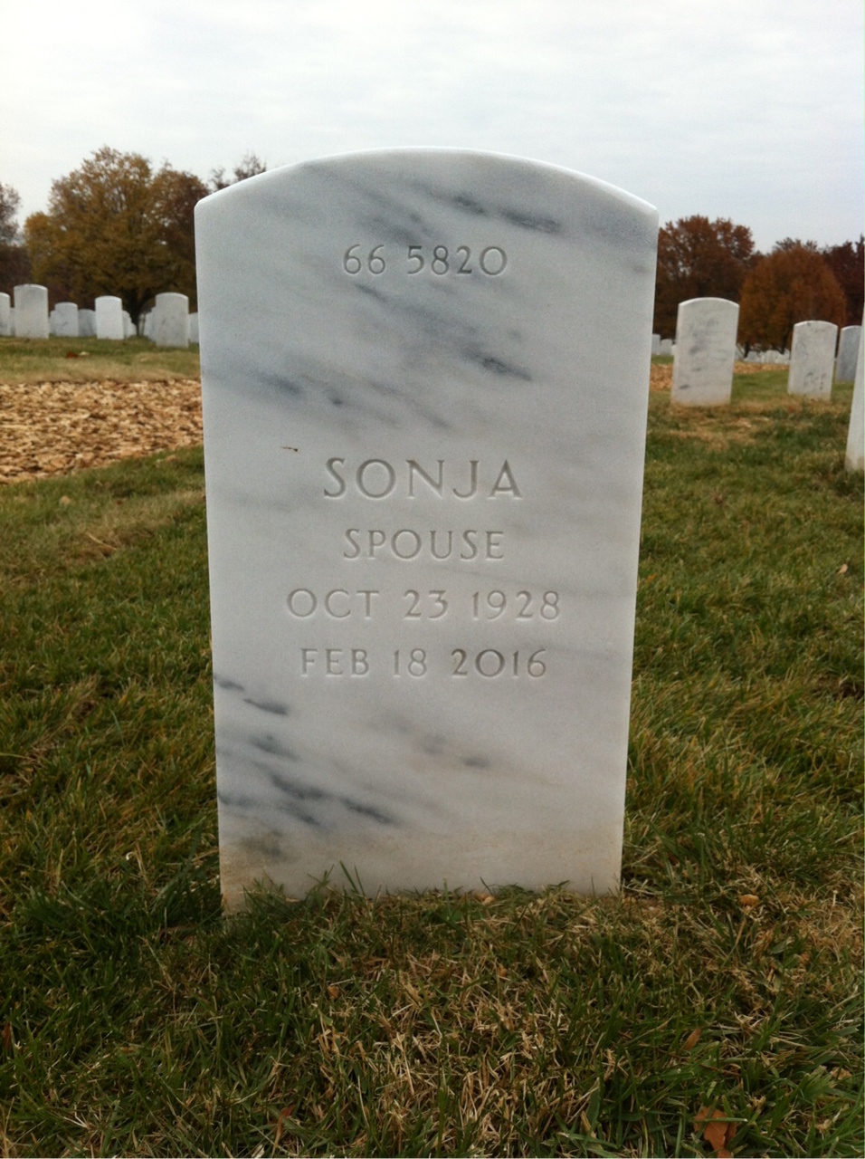 Back of headstone — Harry Albright