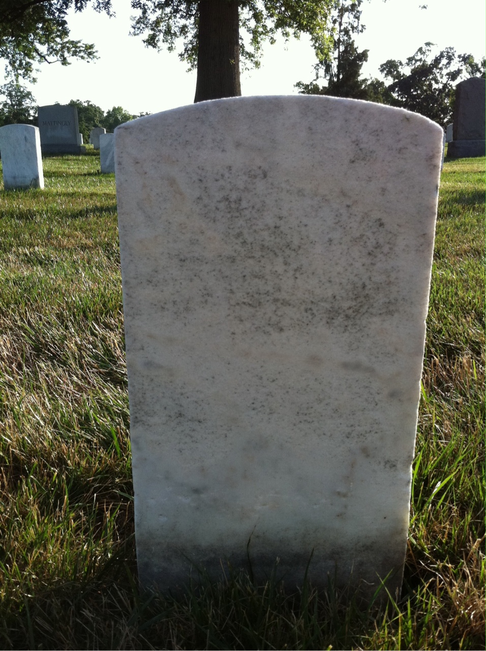 Back of headstone — David Molz
