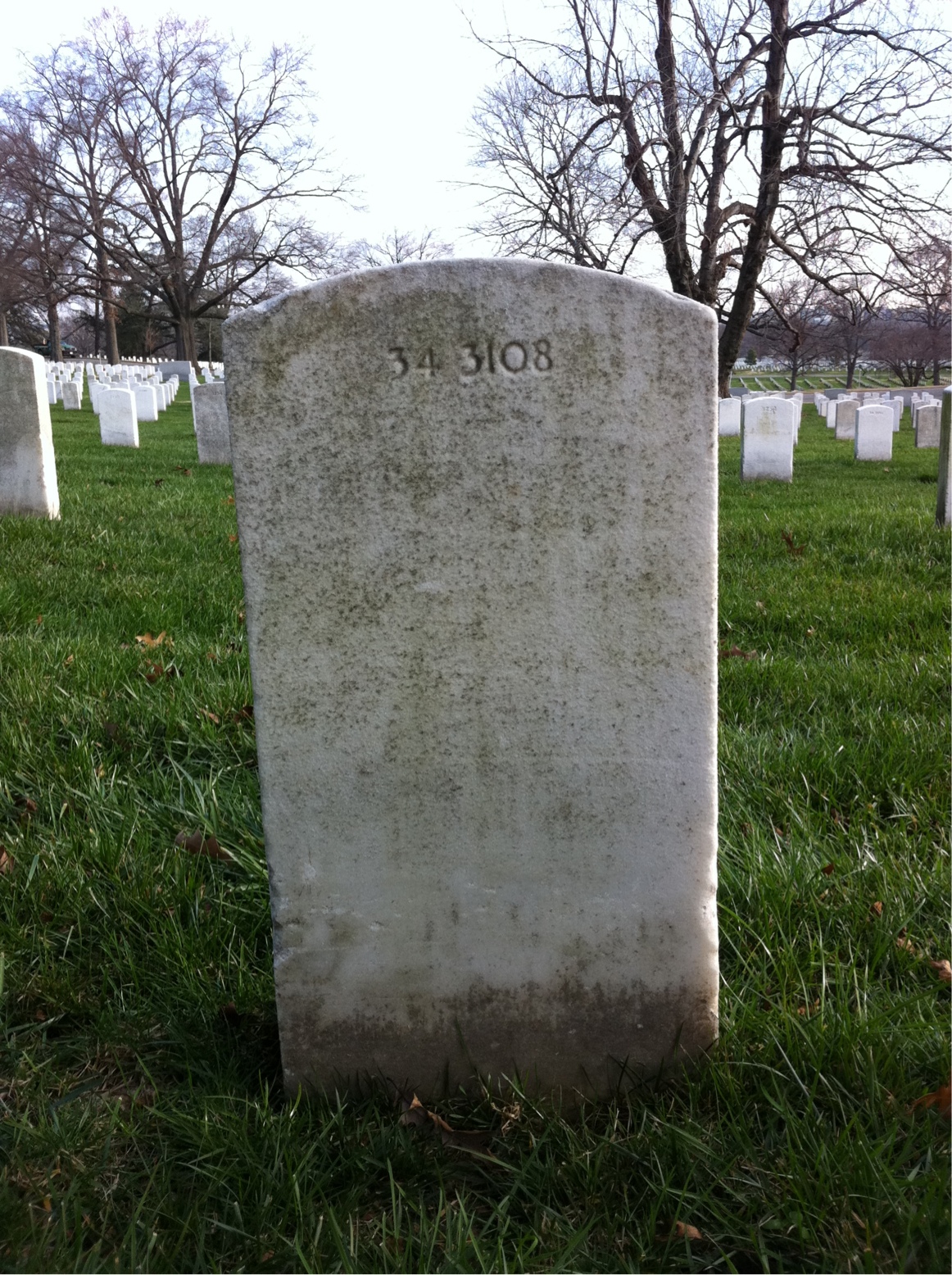 Back of headstone — Alfred Borkland