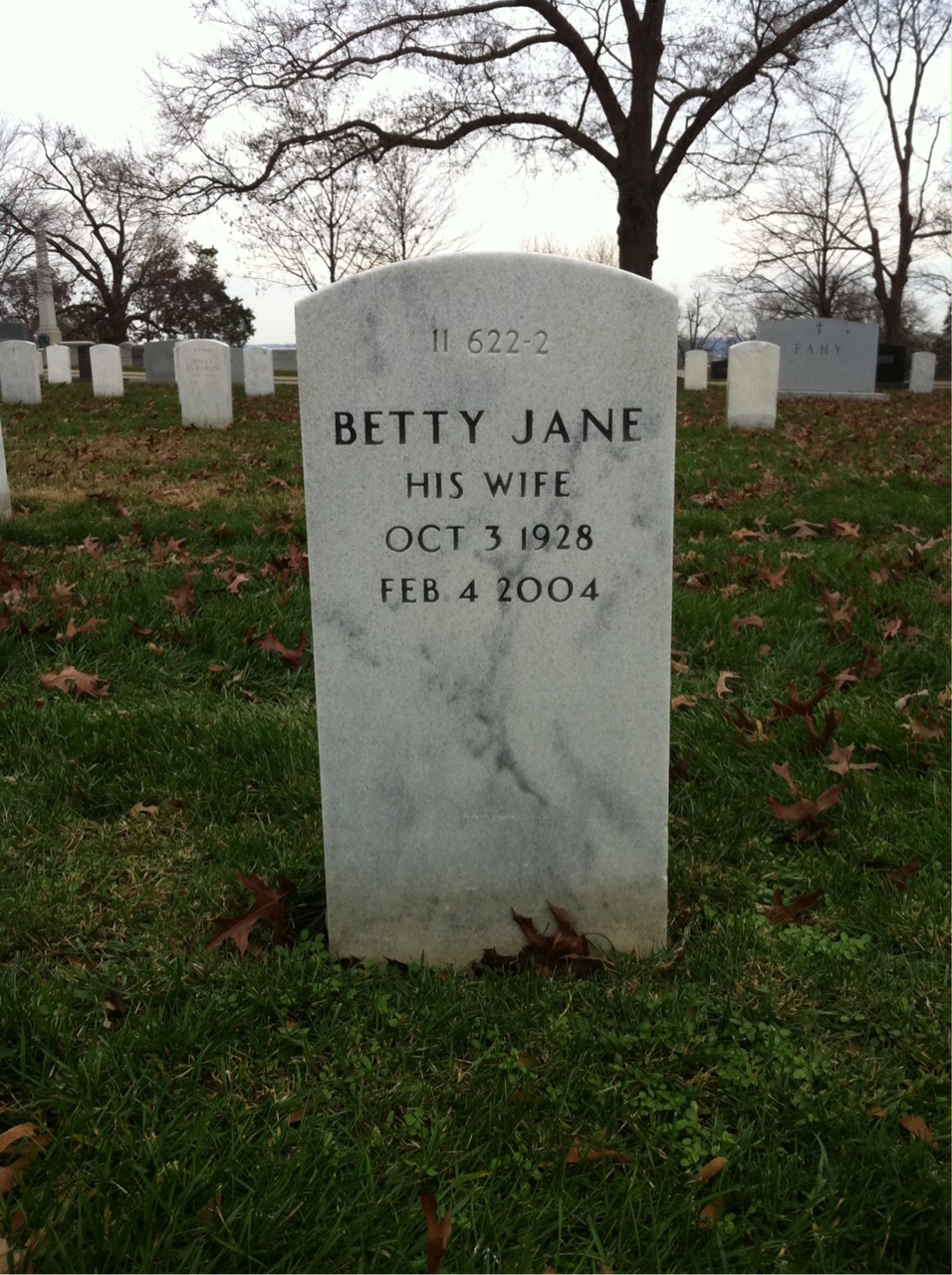 Back of headstone — Benjamin Vondracek