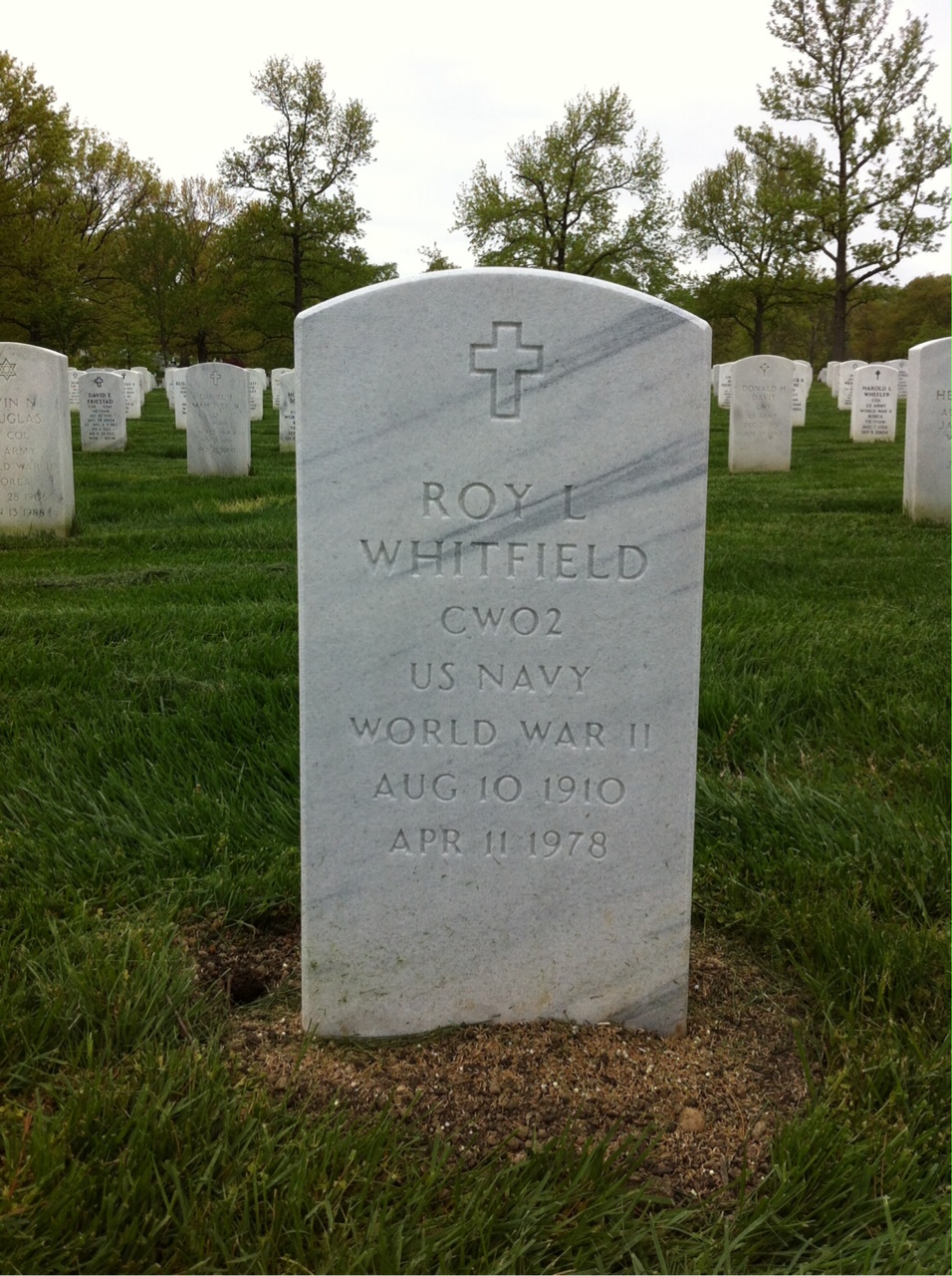 Roy Whitfield