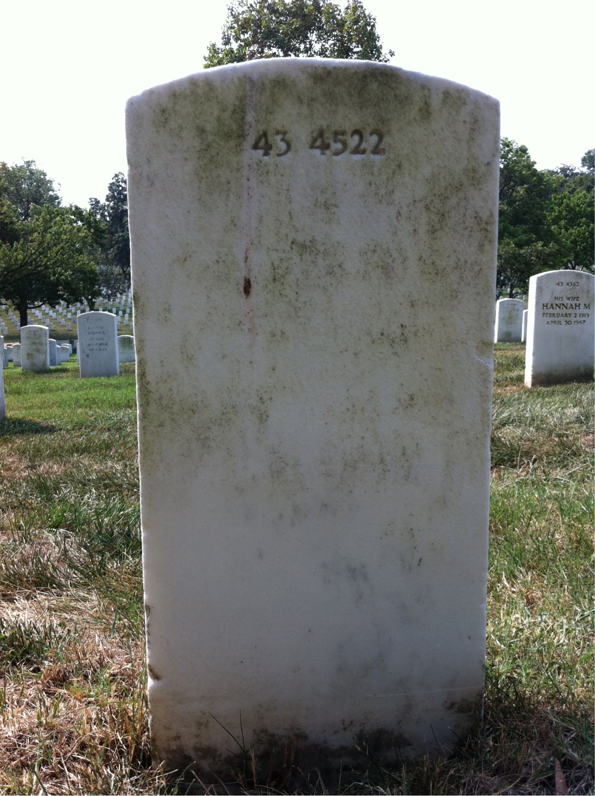 Back of headstone — Willie C Jones