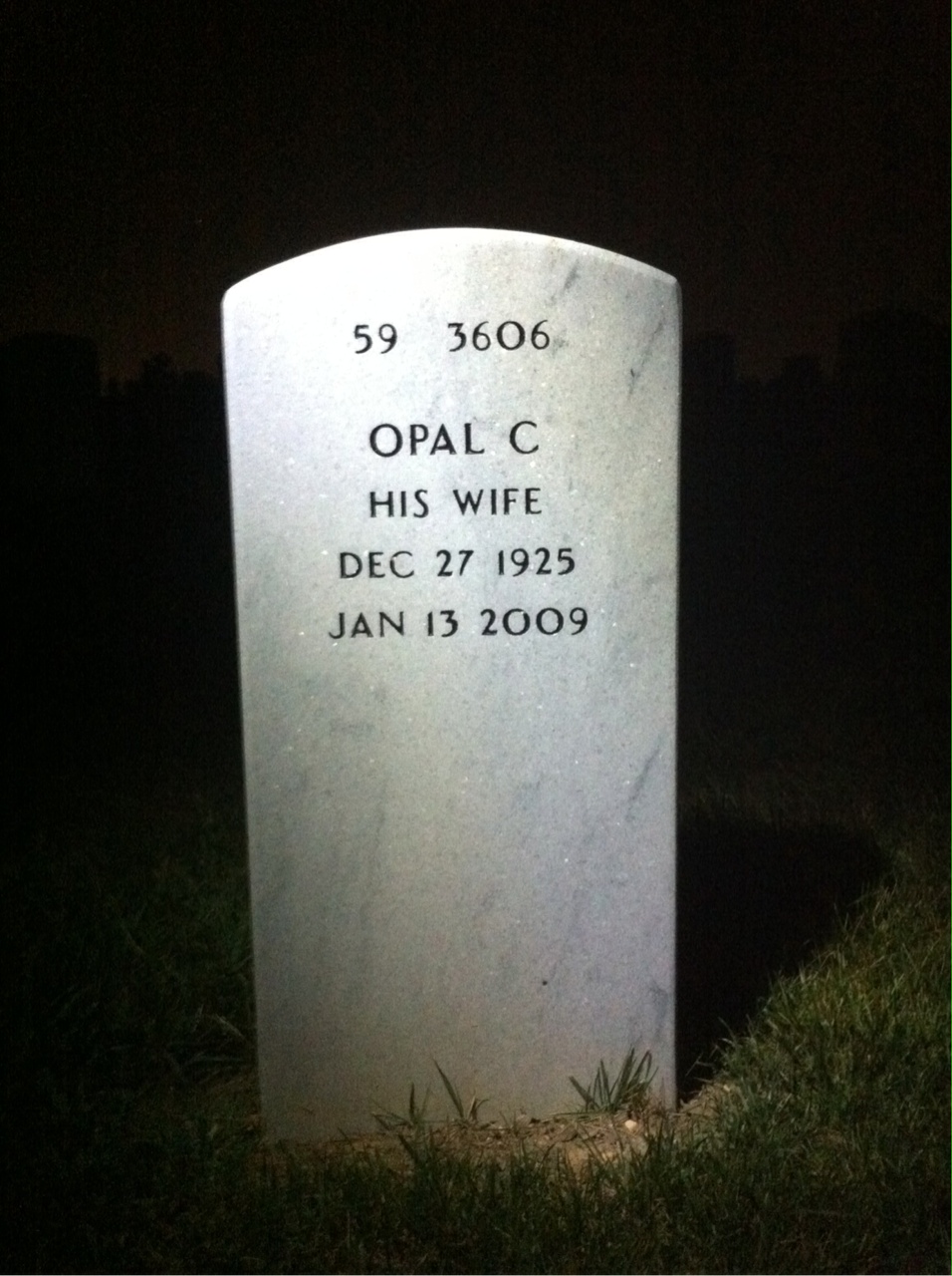 Back of headstone — Robert Luttrell