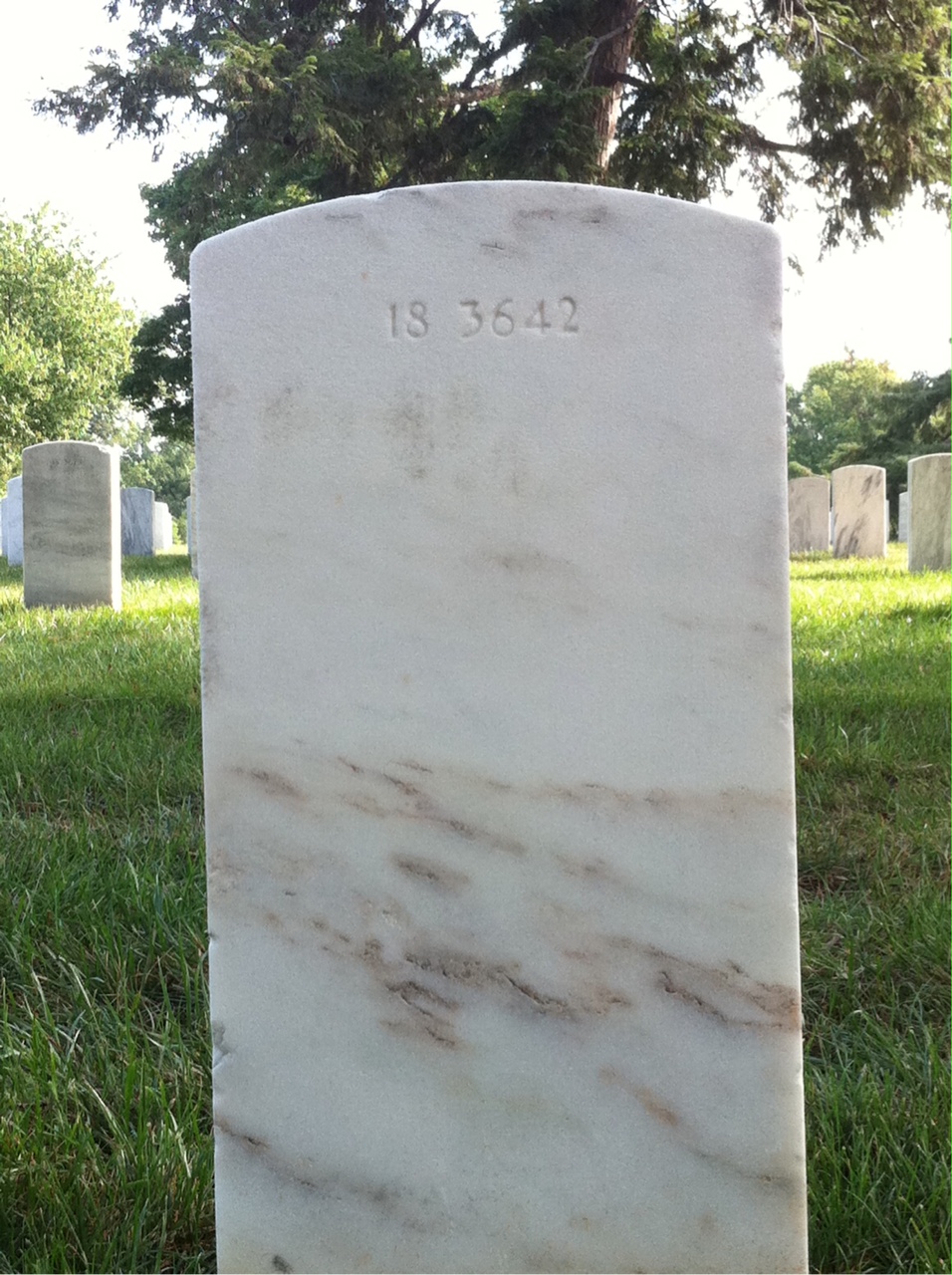 Back of headstone — Warren Mitchell