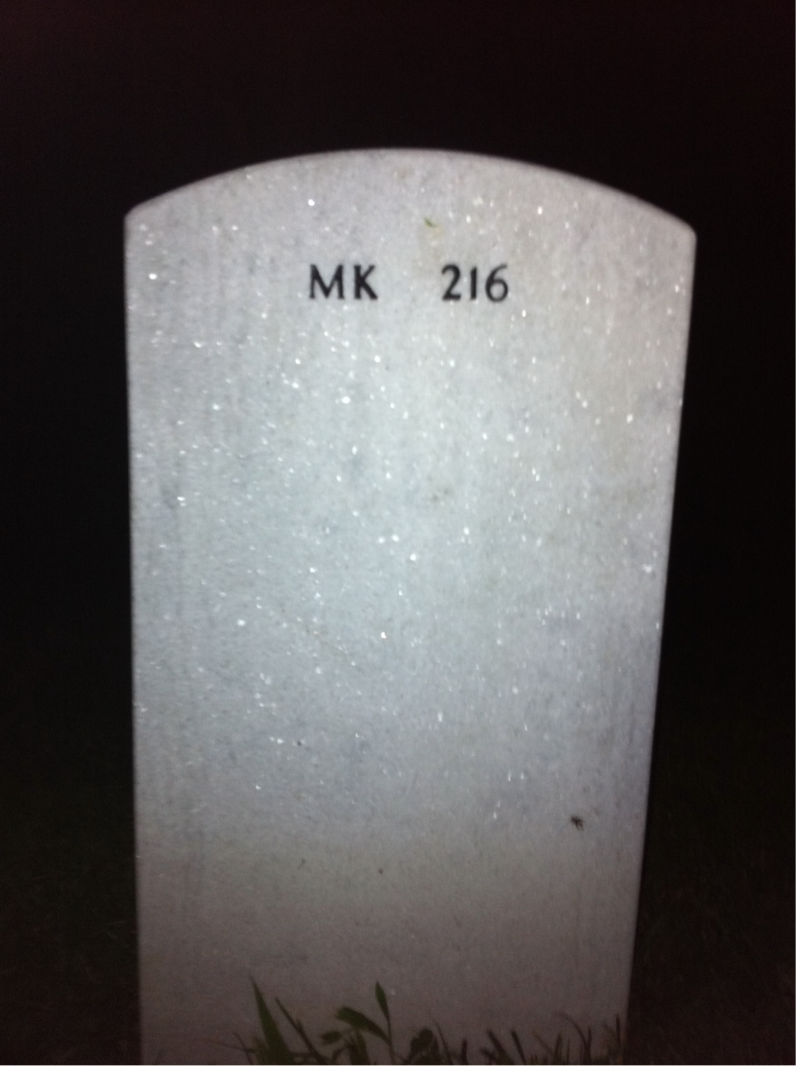 Back of headstone — William Mckee