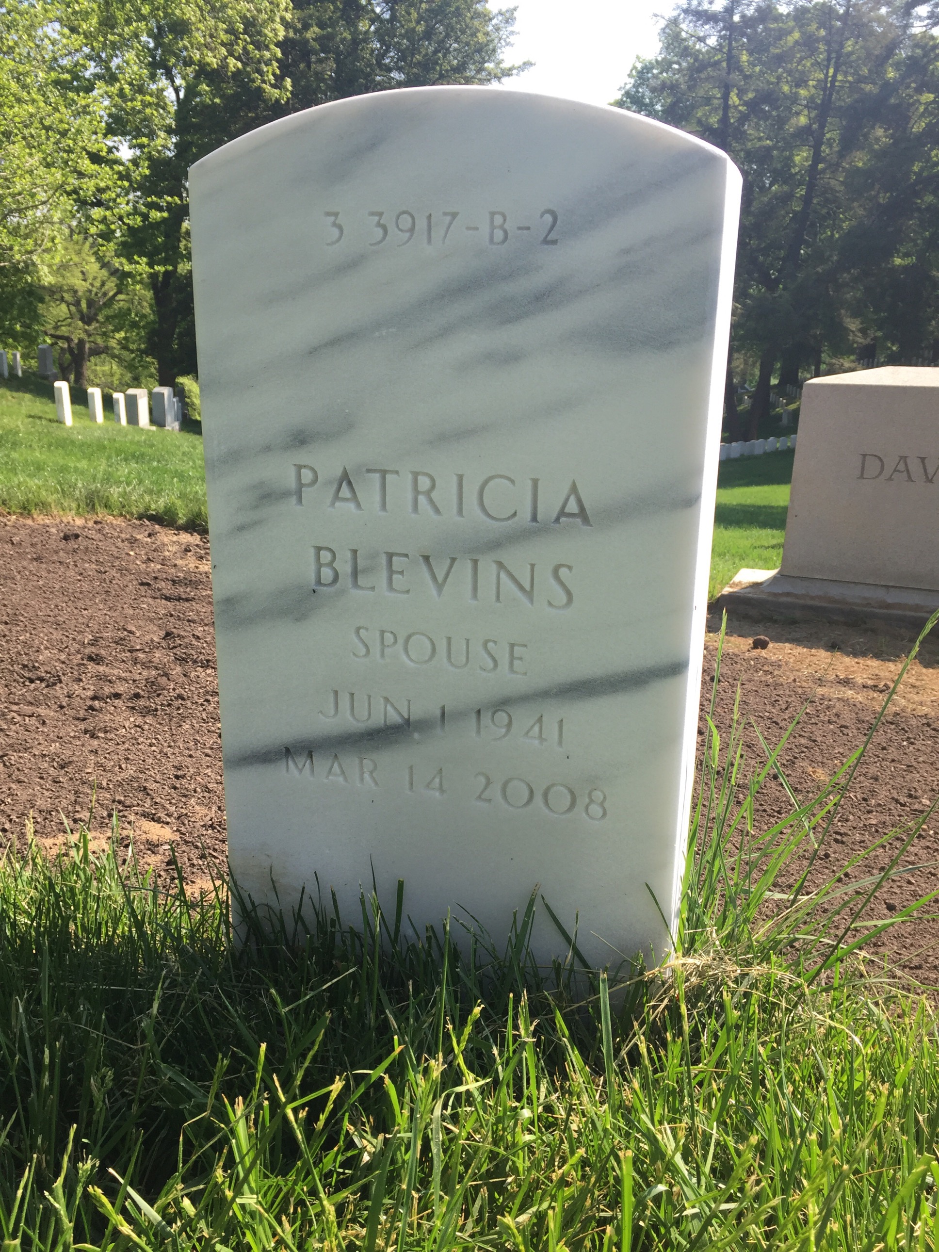 Back of headstone — Elton Bjertness