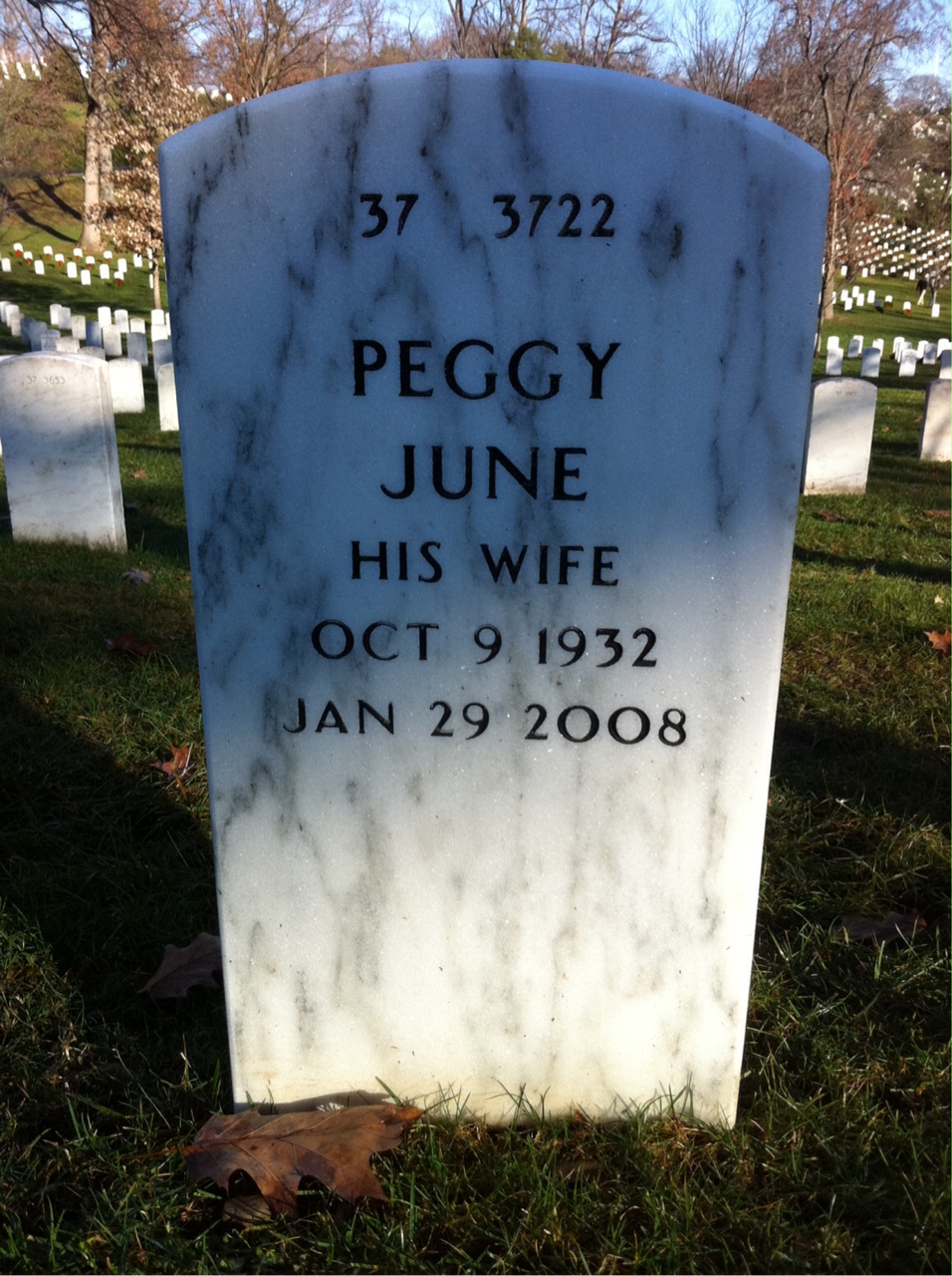 Back of headstone — John Haisten
