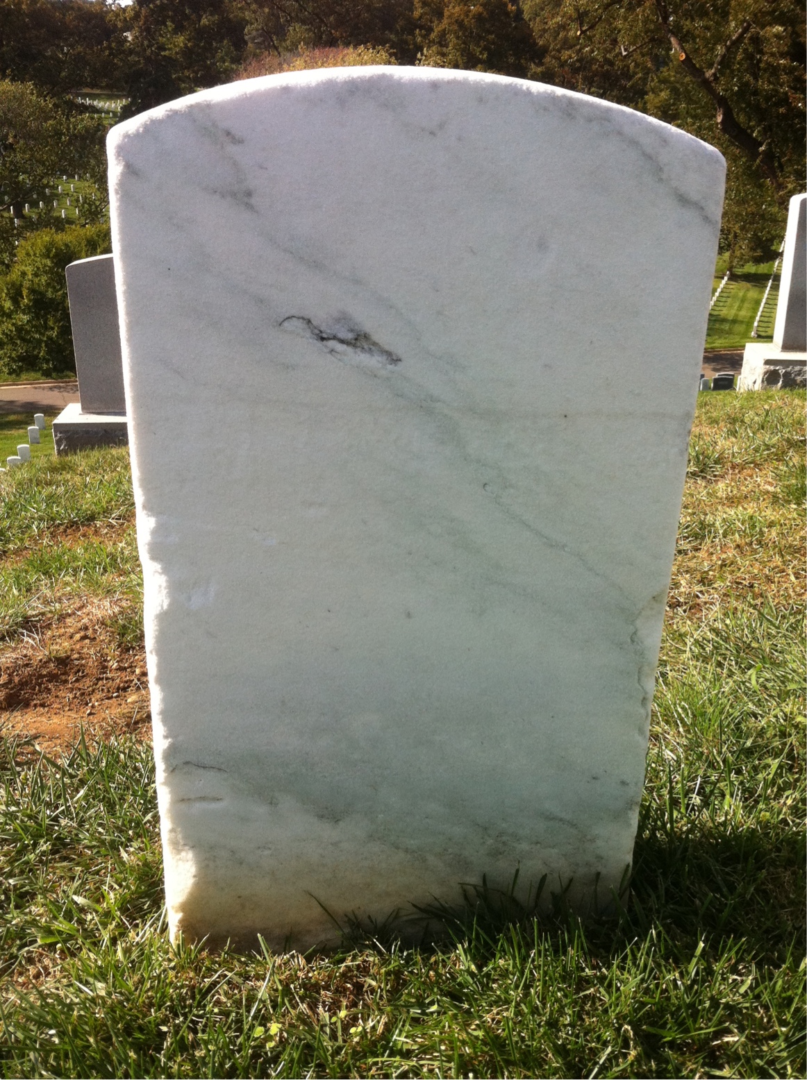 Back of headstone — Francis Morgan