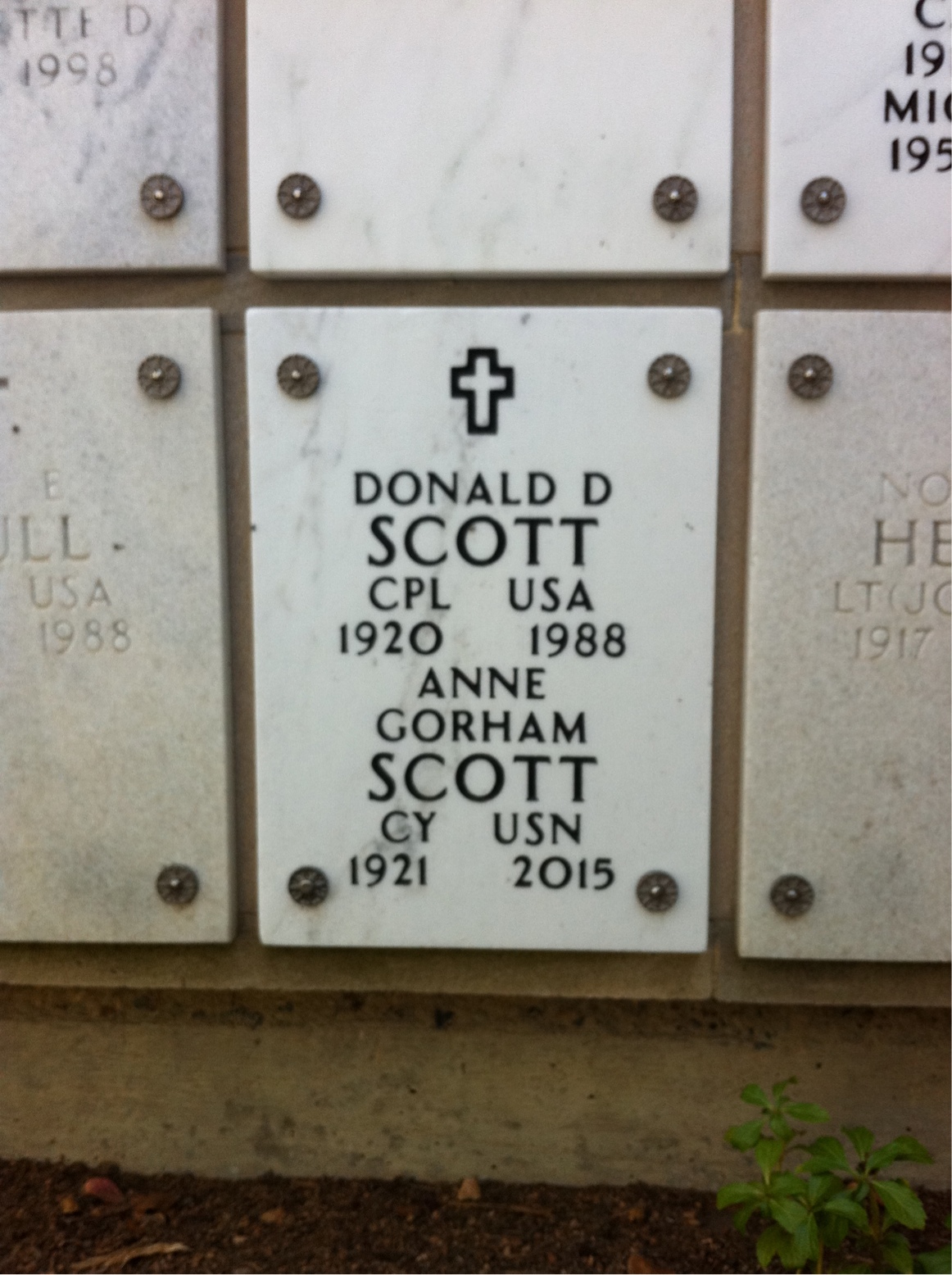 Anne G Scott
