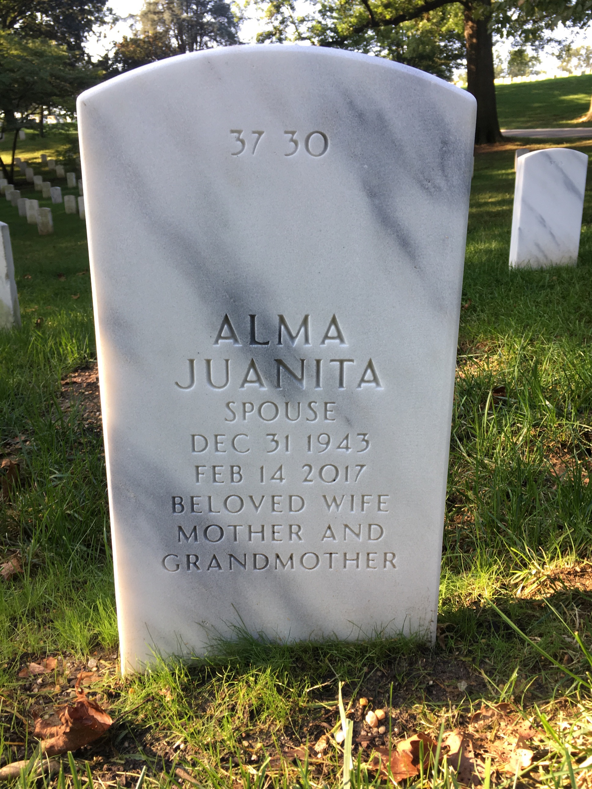 Back of headstone — Willie Anderson