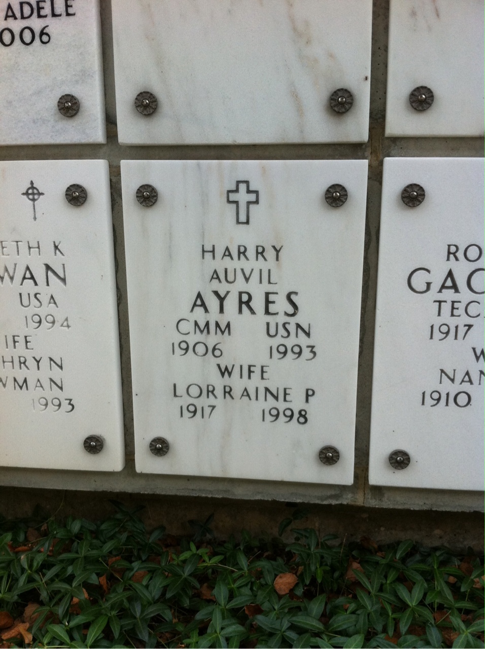 Harry Ayres