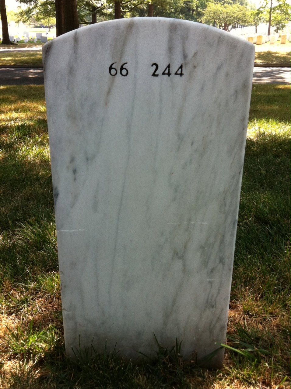 Back of headstone — Lloyd Gomes