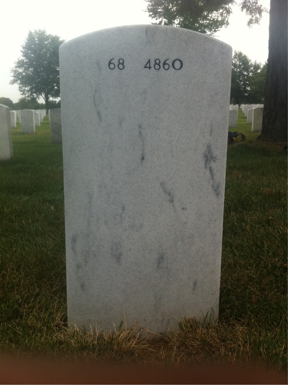 Back of headstone — Roy Schmitz