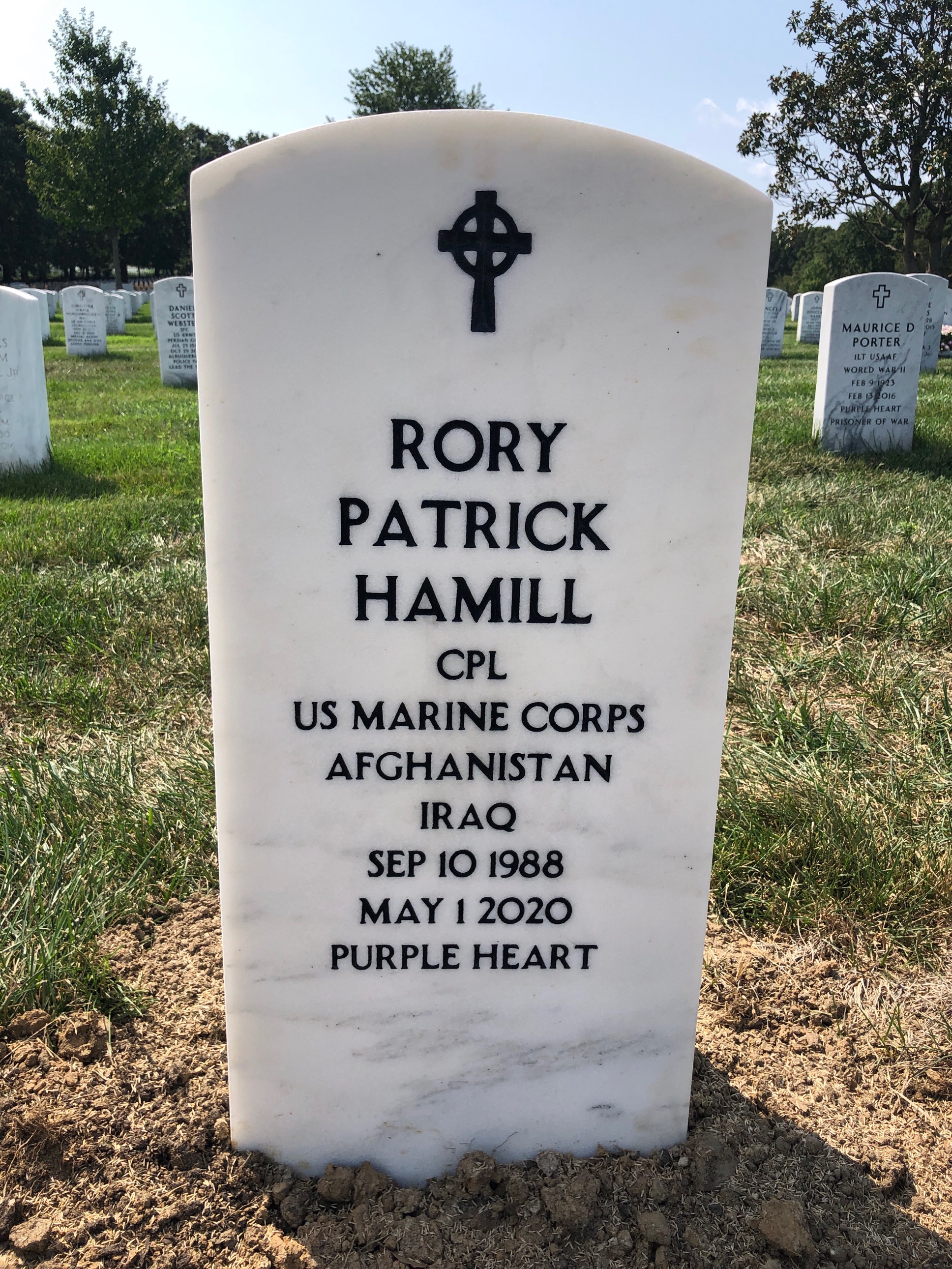 Rory Hamill