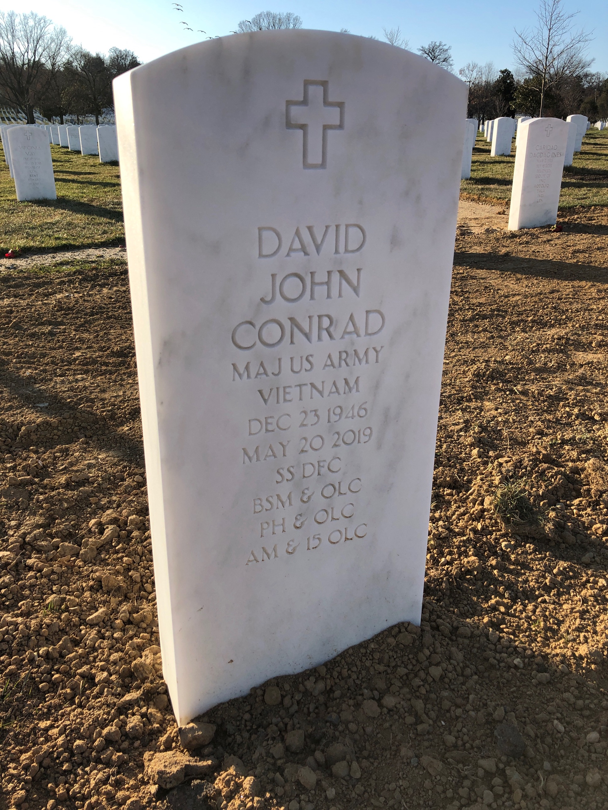 David Conrad