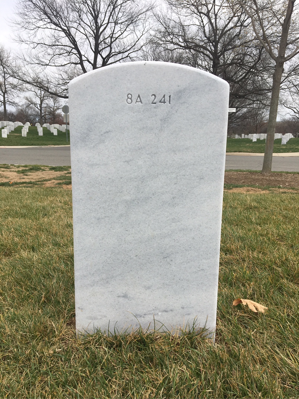 Back of headstone — William Thomas Carter