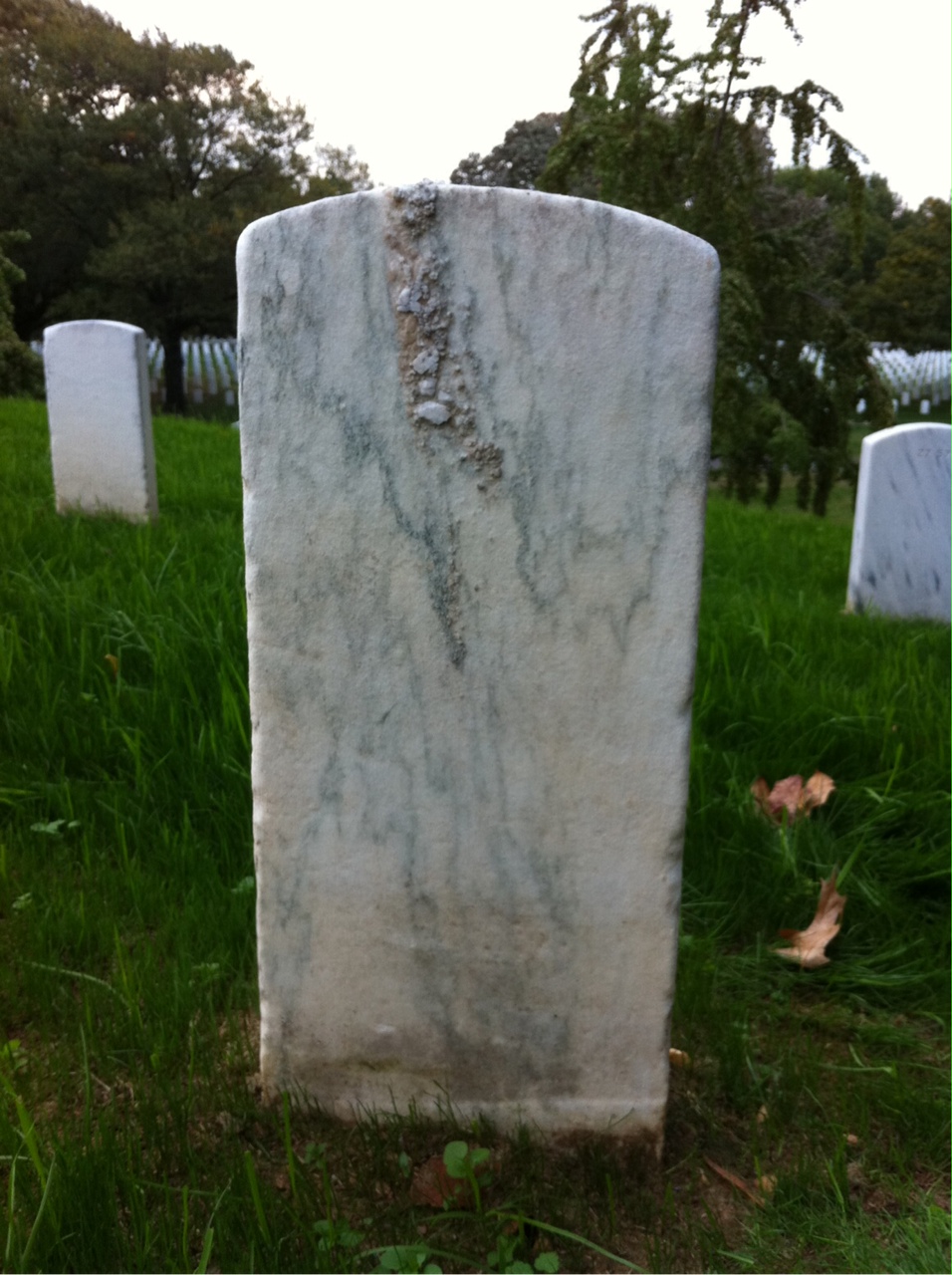 Back of headstone — James Murphy