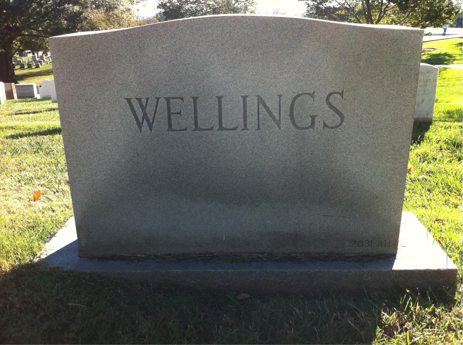 Back of headstone — Albert Wellings