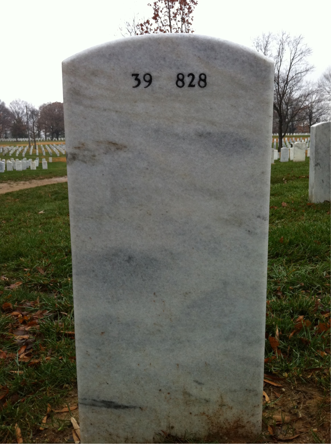 Back of headstone — Gregory Scruggs