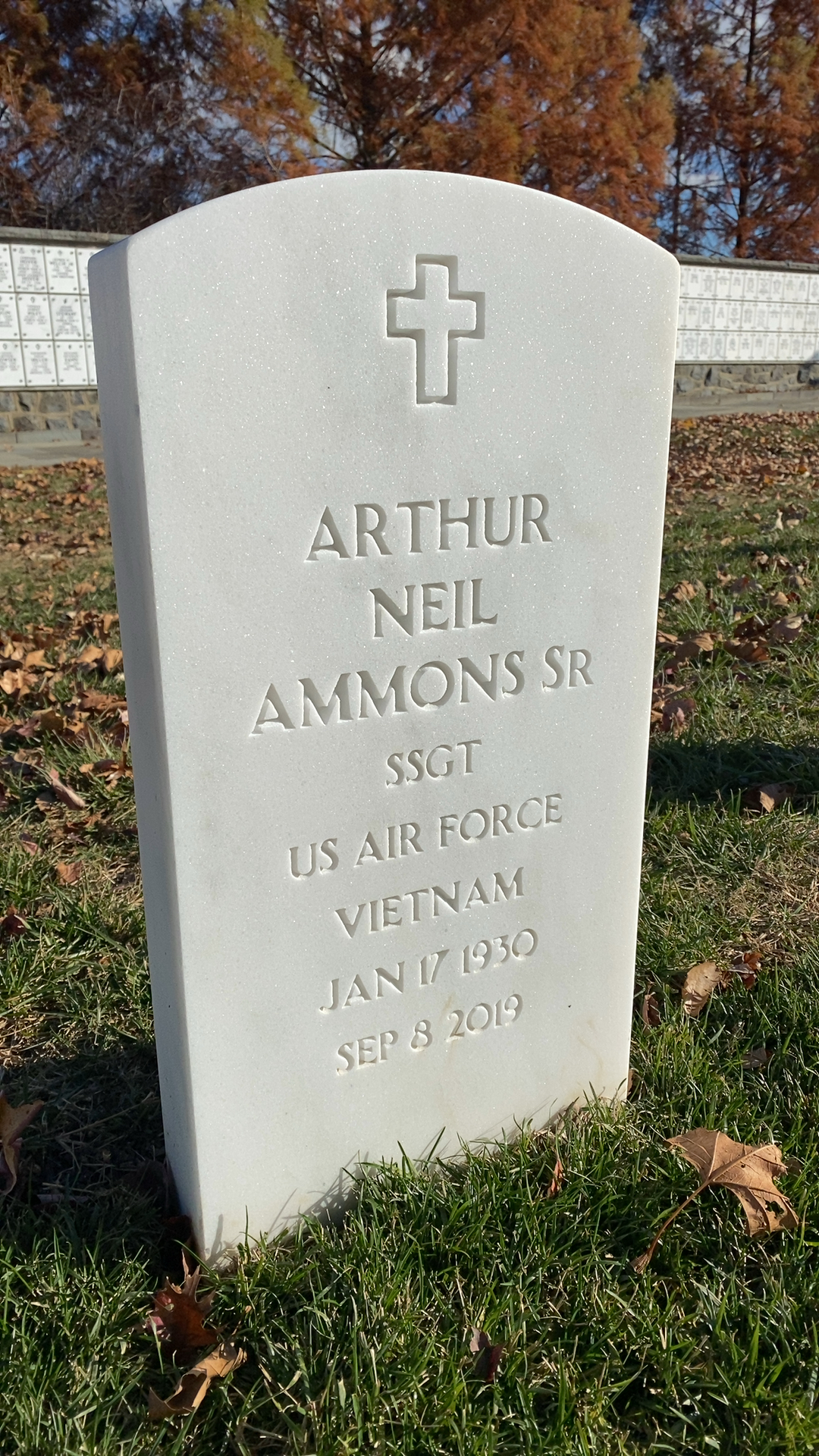Arthur Ammons