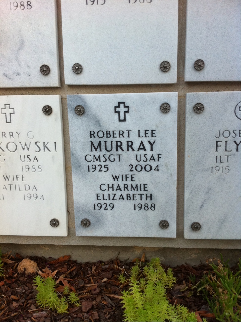 Robert Murray
