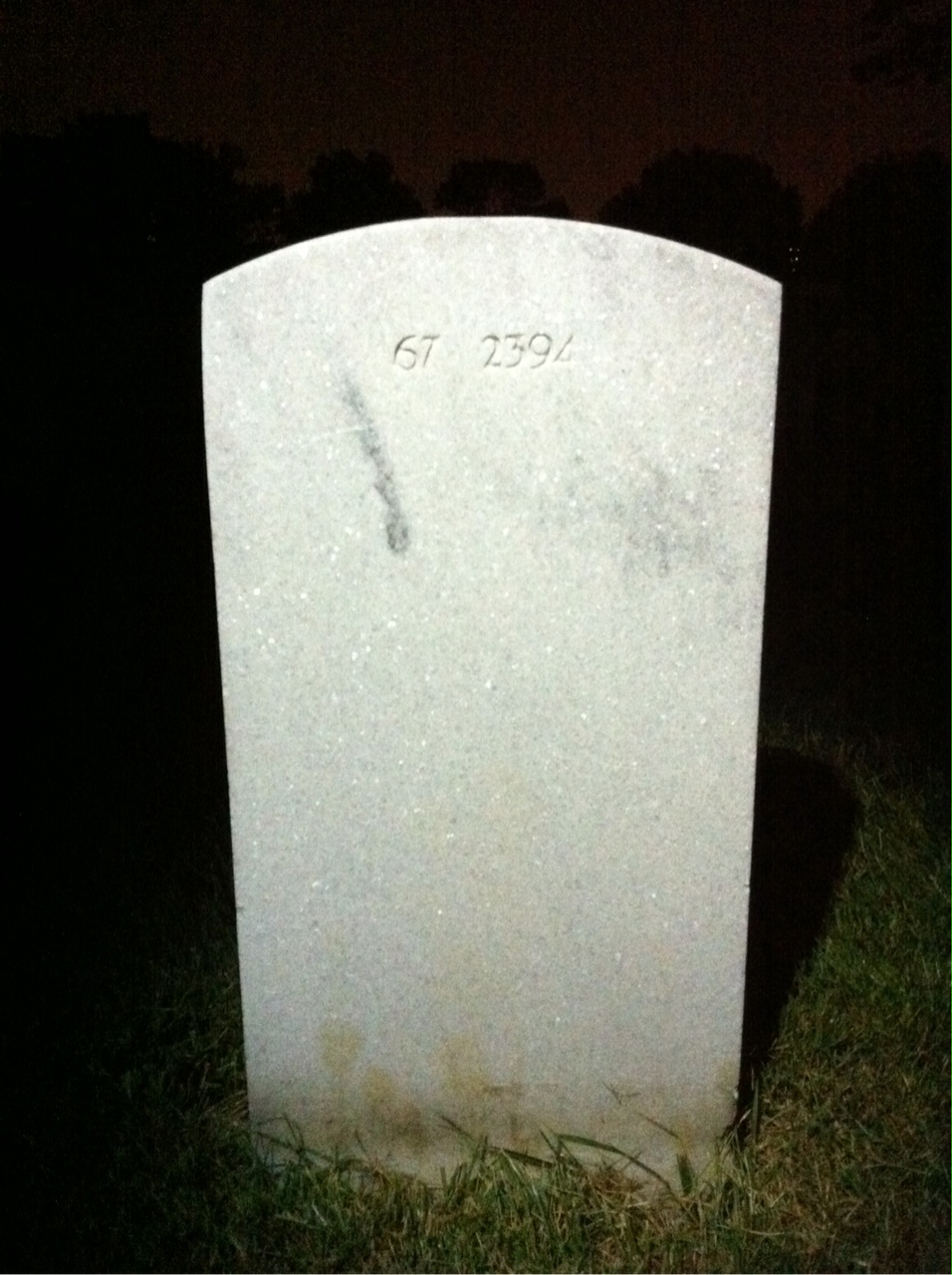Back of headstone — Troy Howell Lewis
