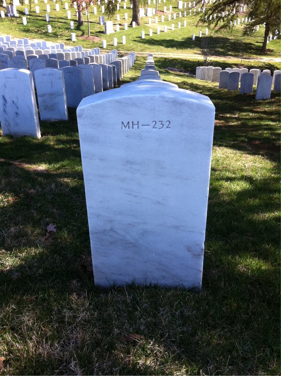 Headstone of Bruce Carlton Bessor