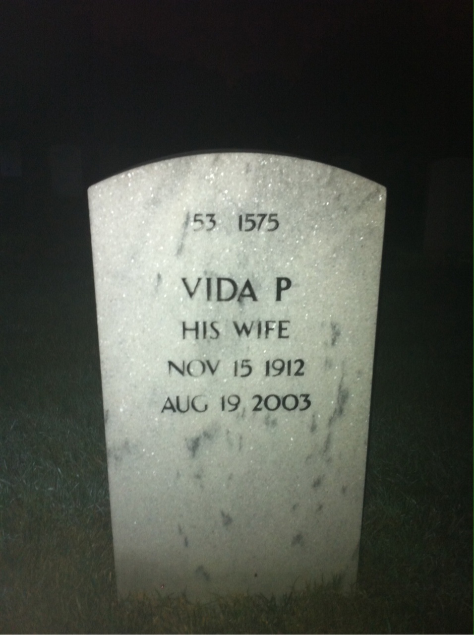 Back of headstone — Dwight Bingham