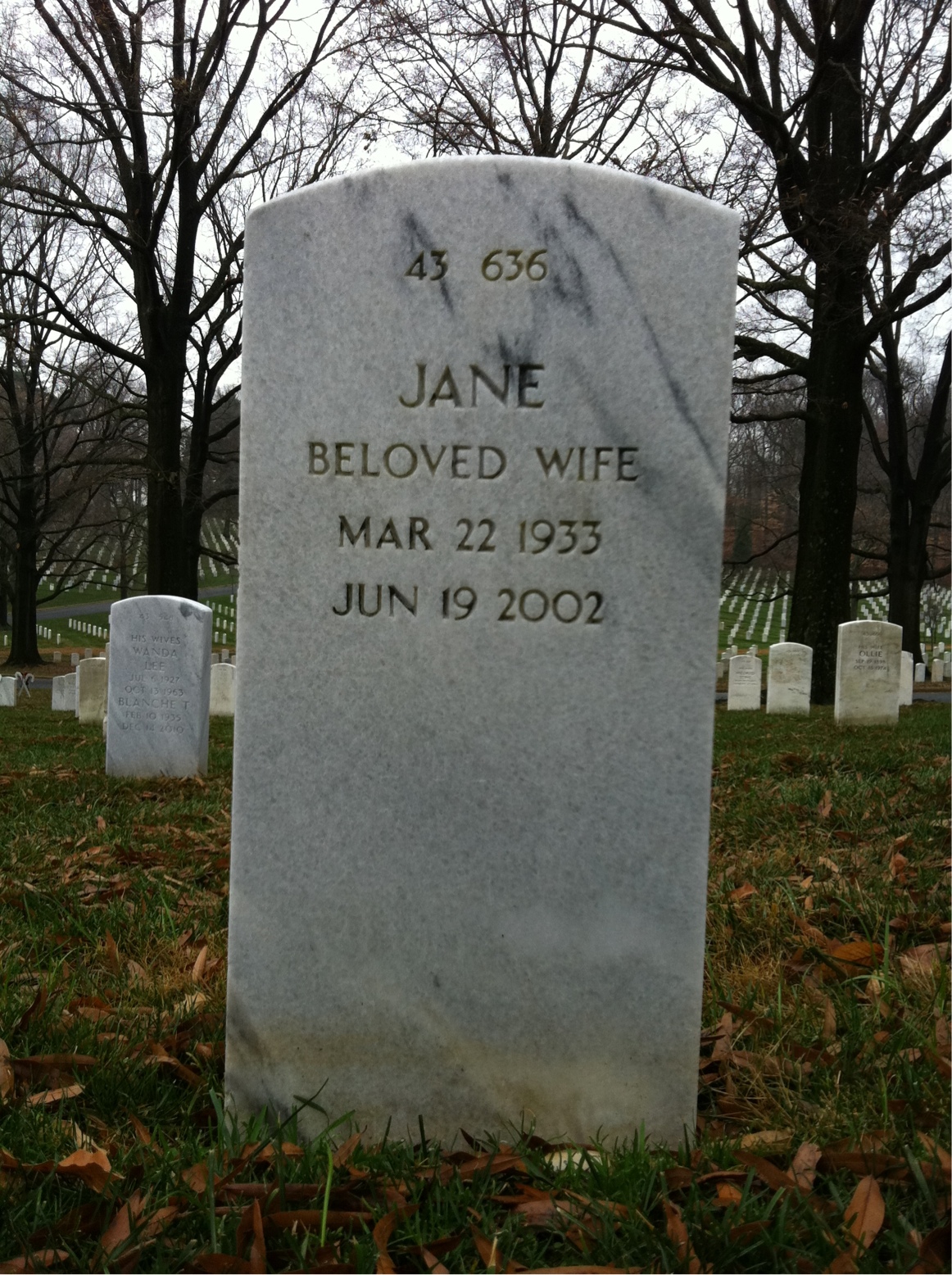 Back of headstone — James Anderson