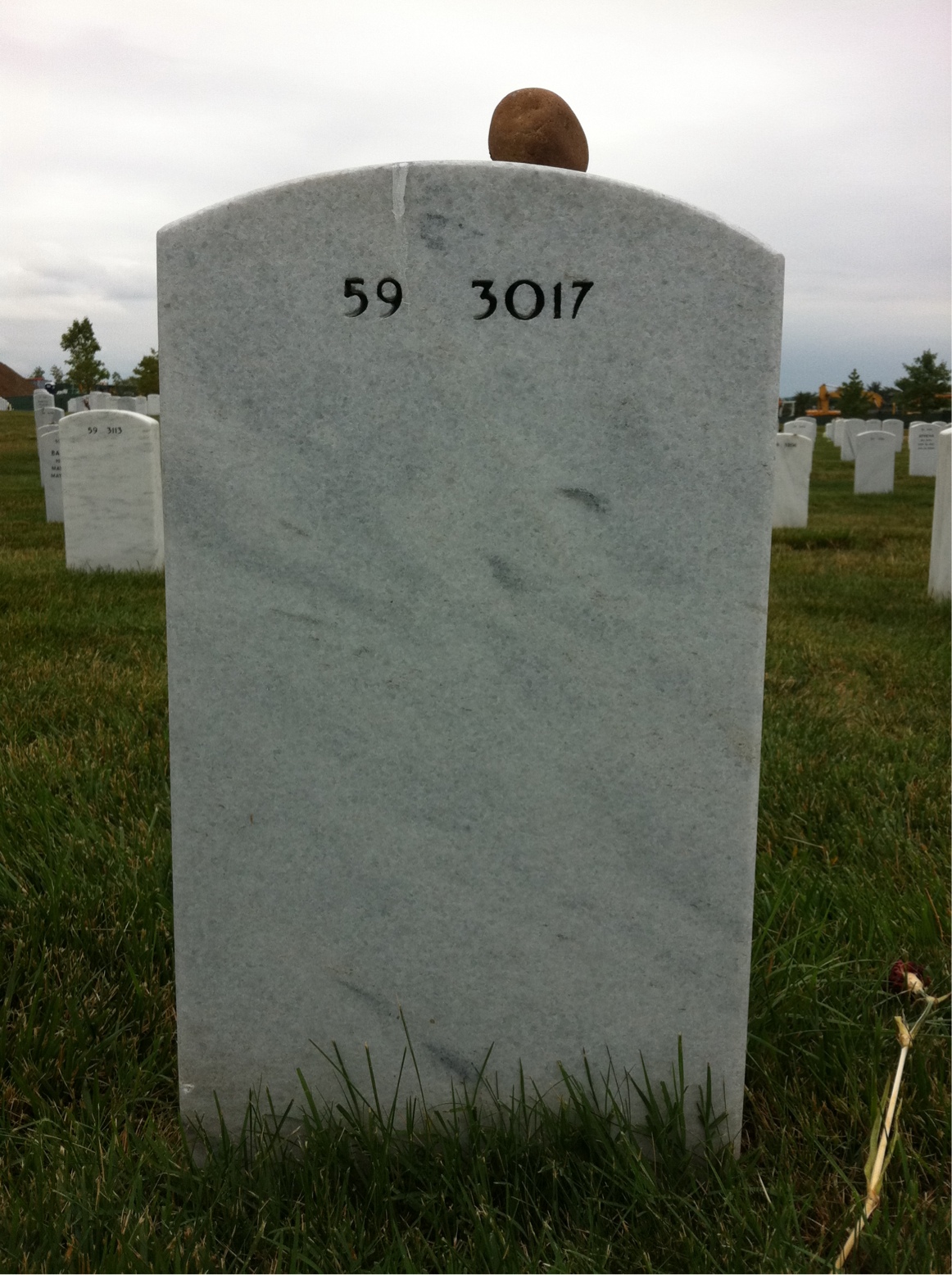 Back of headstone — D'Arcy Grisier