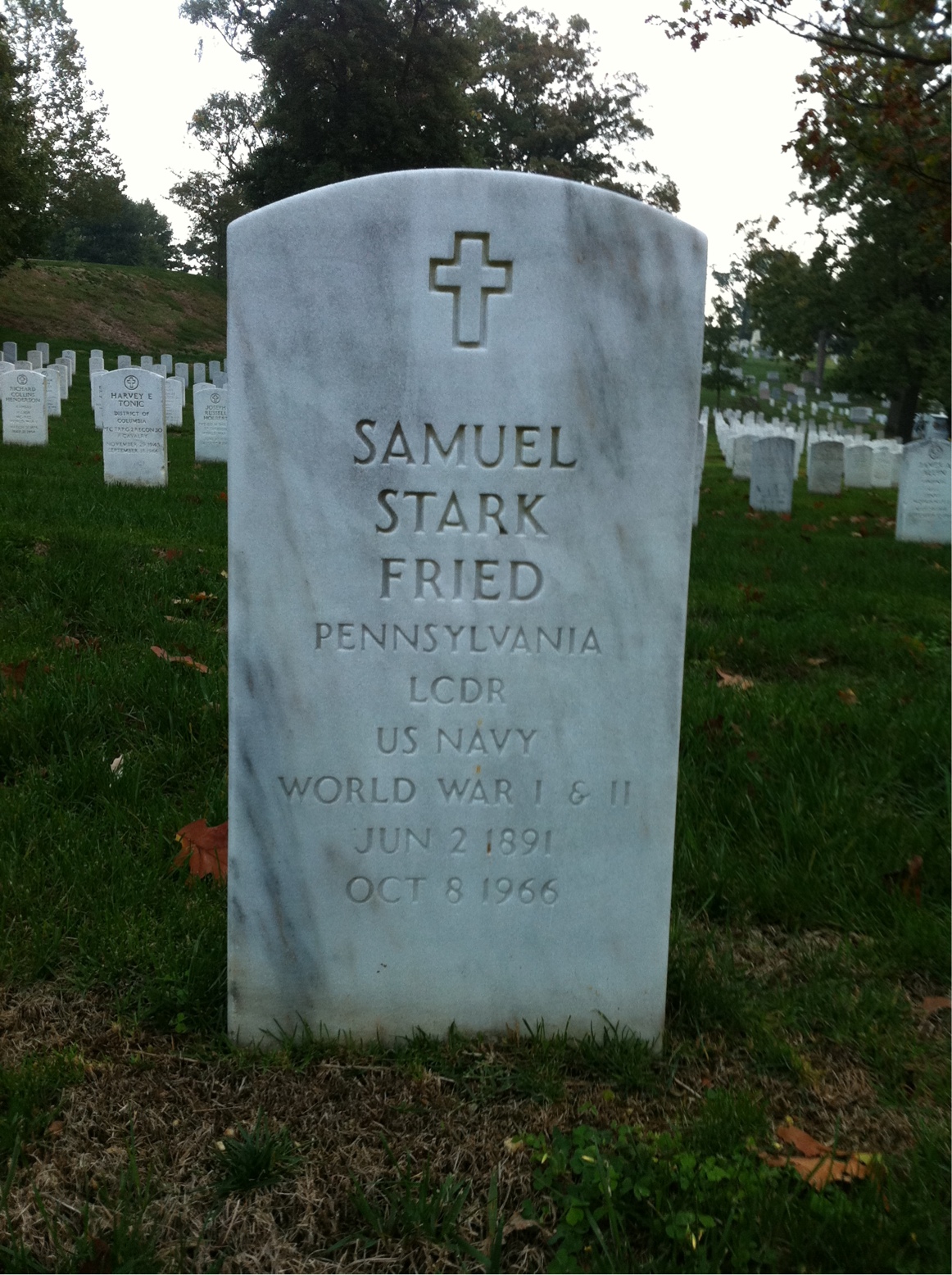 Samuel Stark Fried