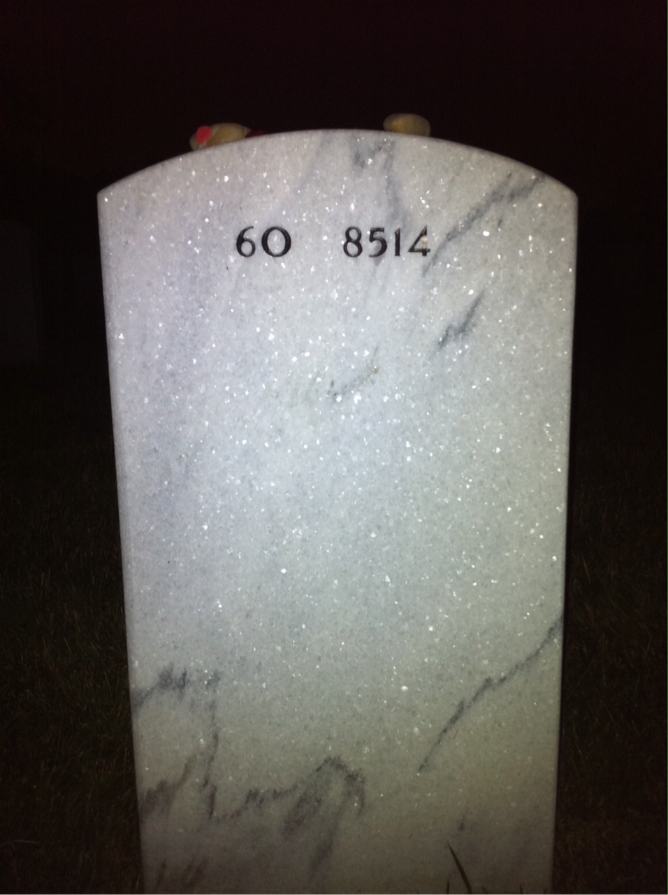 Back of headstone — Megan Mcclung
