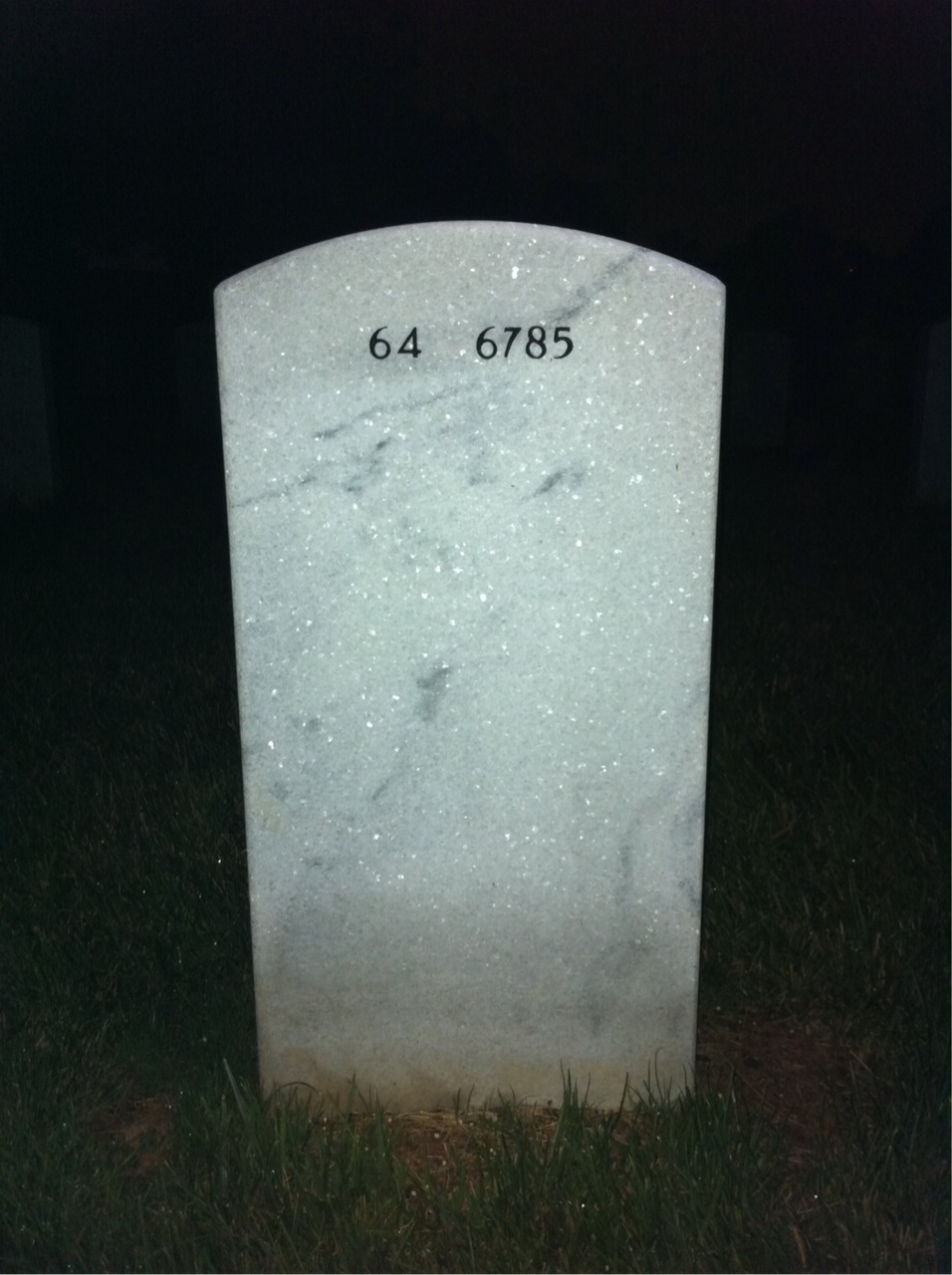 Back of headstone — James Trest