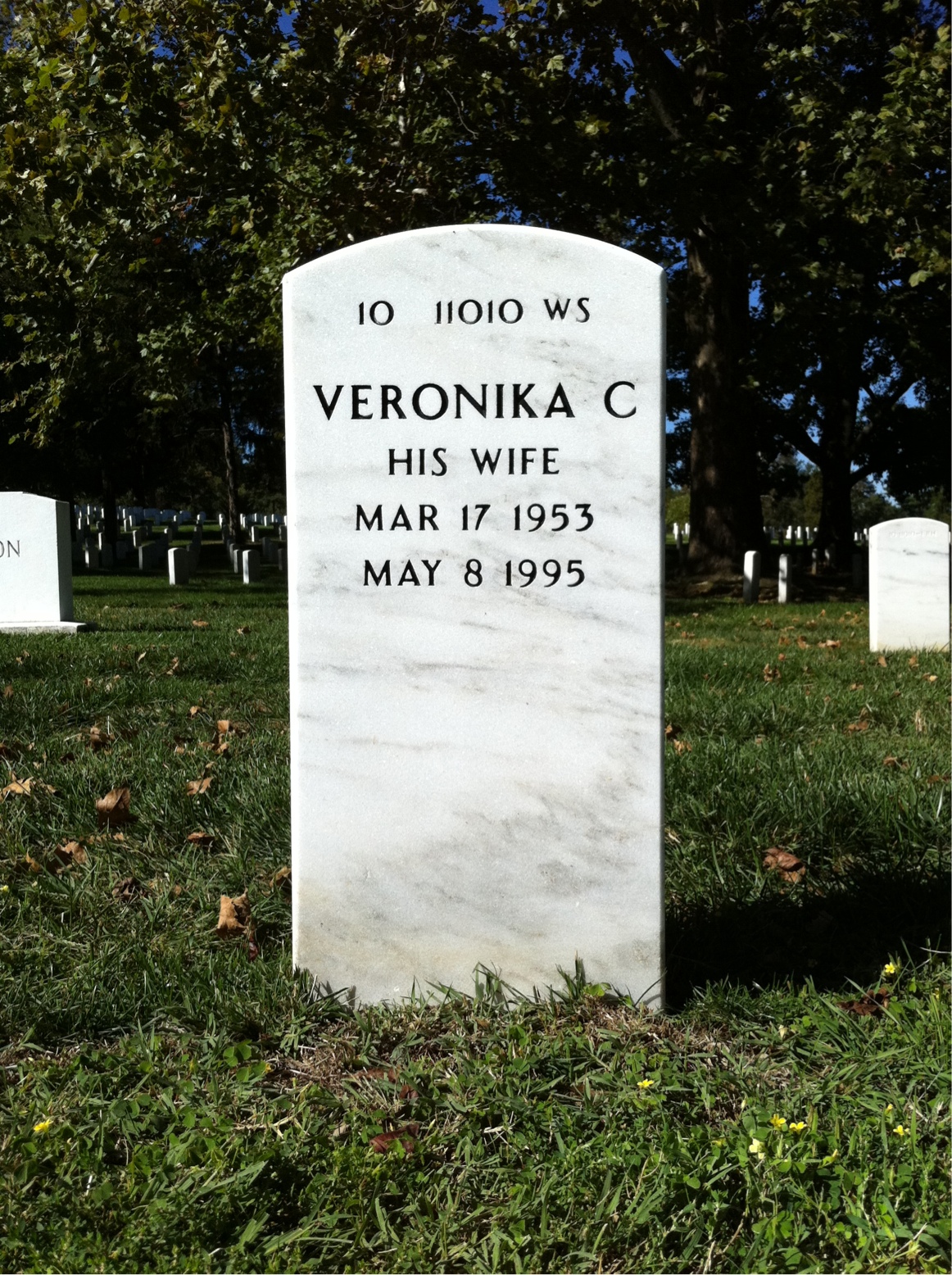 Back of headstone — George Johnson
