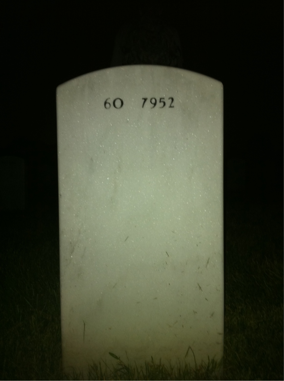 Back of headstone — Aloysius Steele