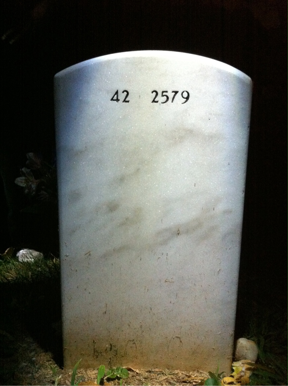 Back of headstone — George Karpinski